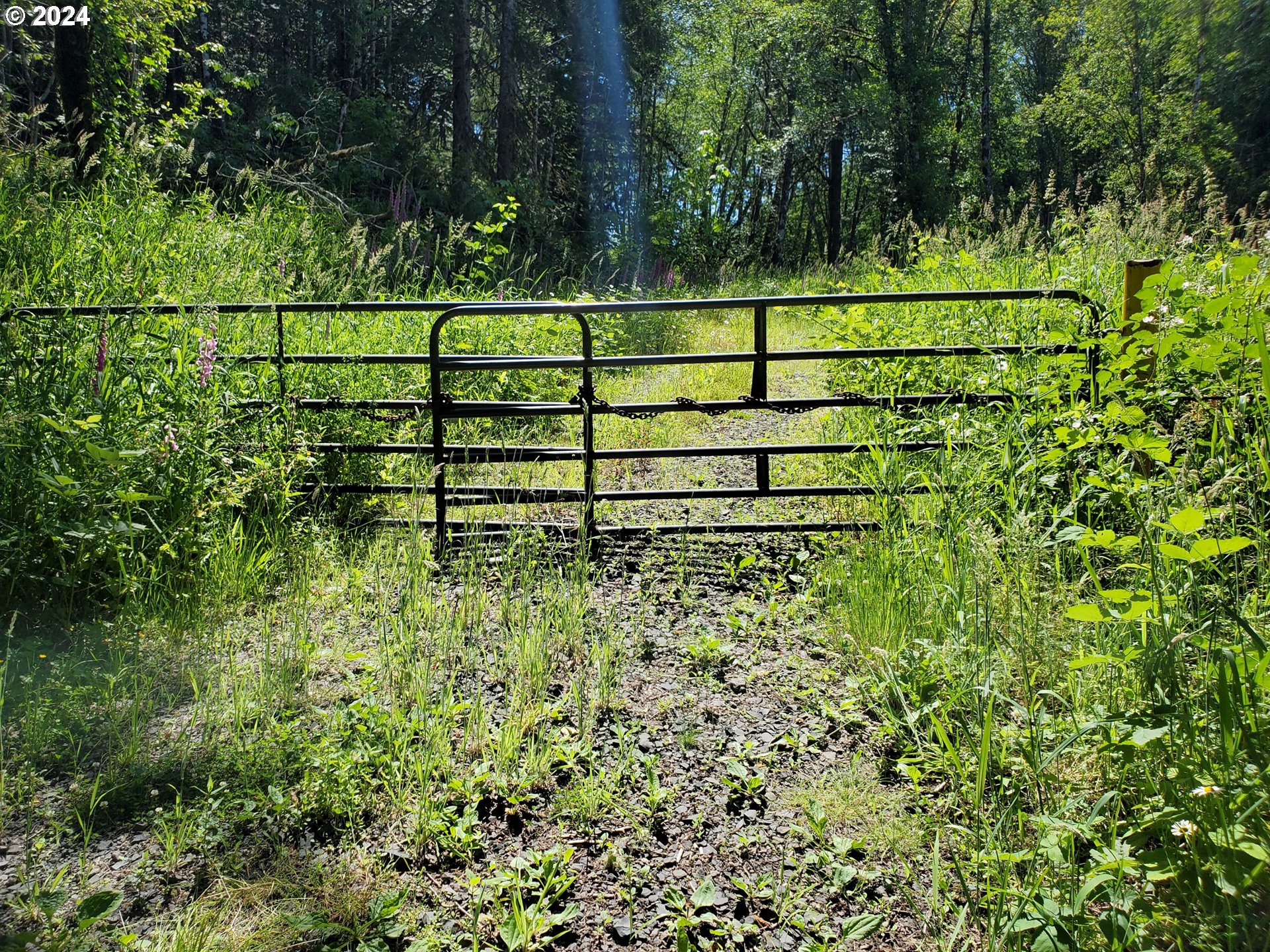 Photo of Stewart Creek RD Clatskanie OR 97016