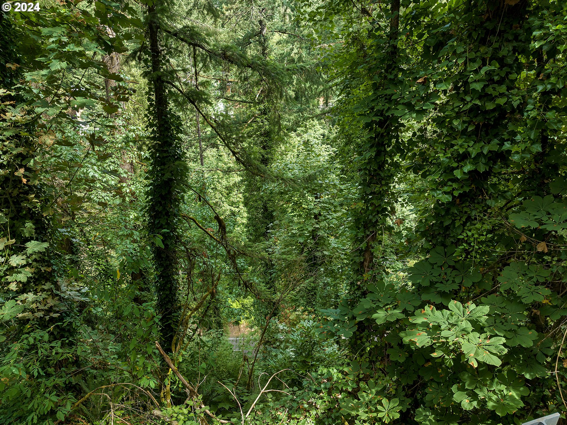 W BURNSIDE RD, Portland, OR, 97210