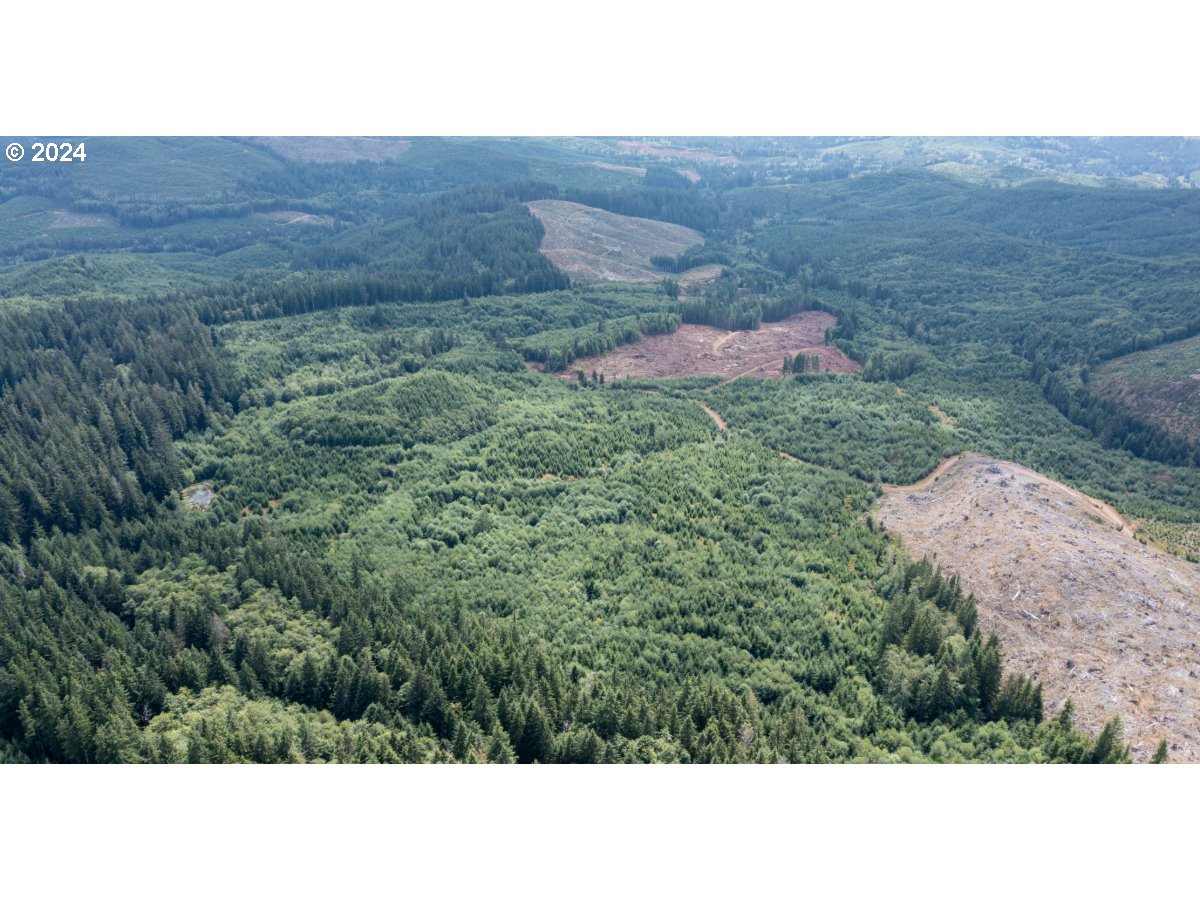 260 Greenleaf AVE, Eugene, OR, 97404