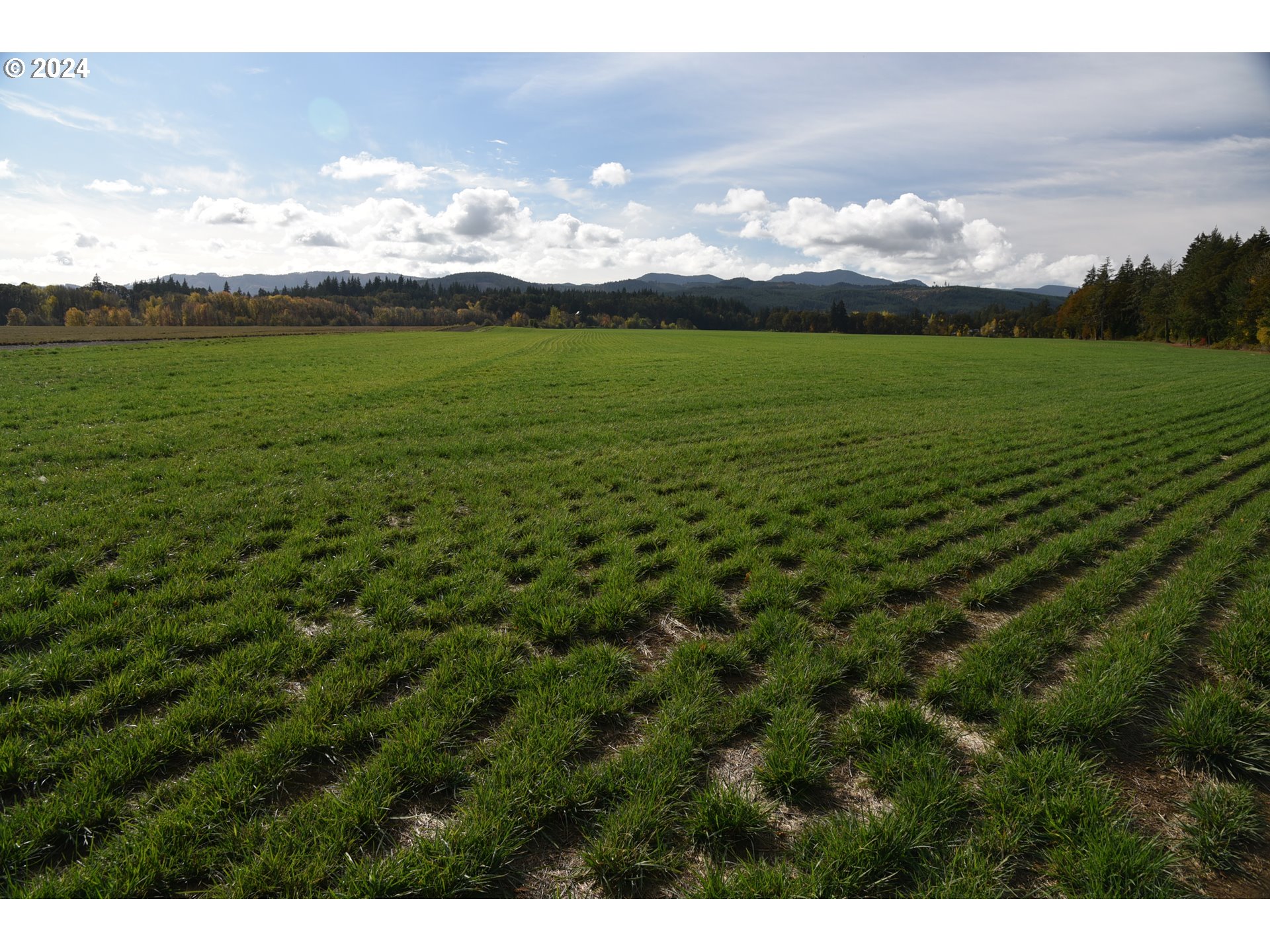 9375 STEEL BRIDGE RD, Sheridan, OR, 97378