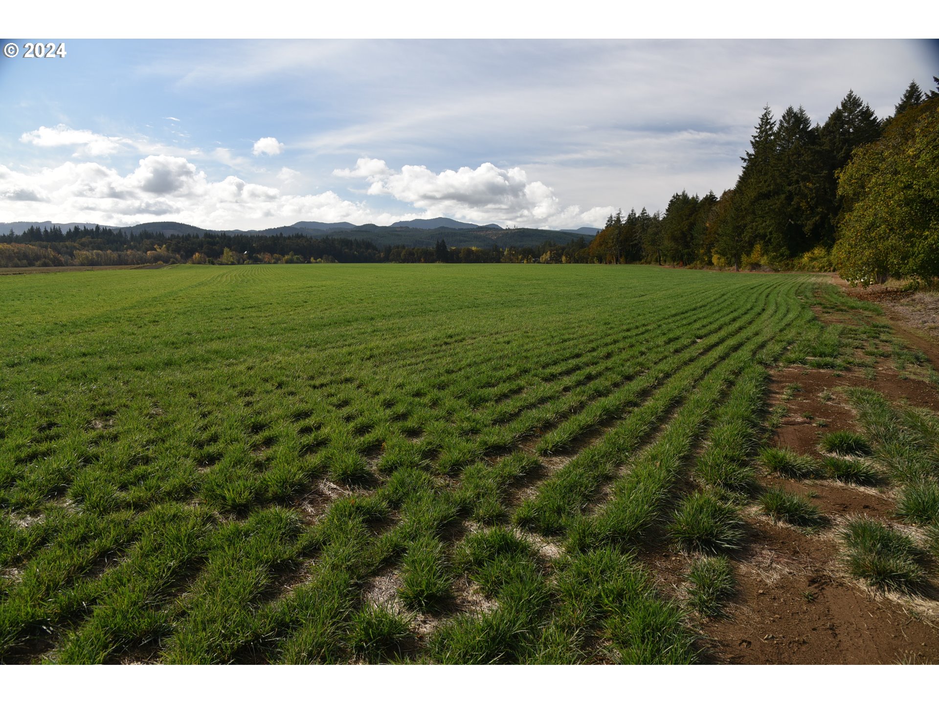 9375 STEEL BRIDGE RD, Sheridan, OR, 97378