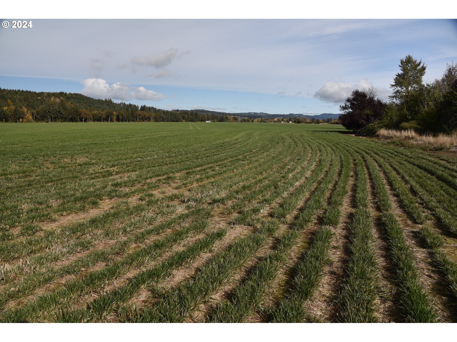 9375 STEEL BRIDGE RD, Sheridan, OR, 97378