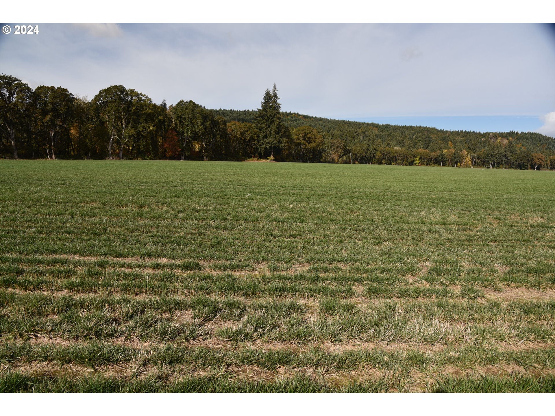 9375 STEEL BRIDGE RD, Sheridan, OR, 97378