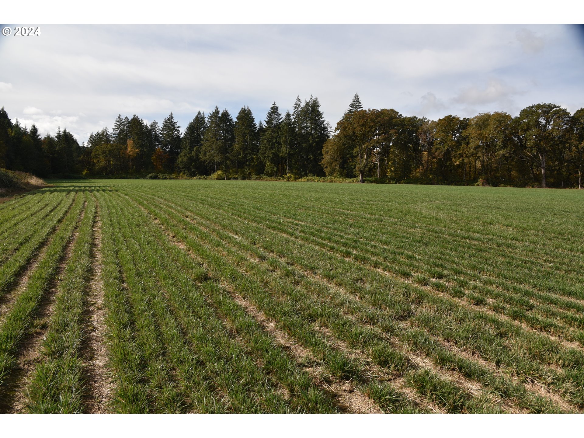 9375 STEEL BRIDGE RD, Sheridan, OR, 97378