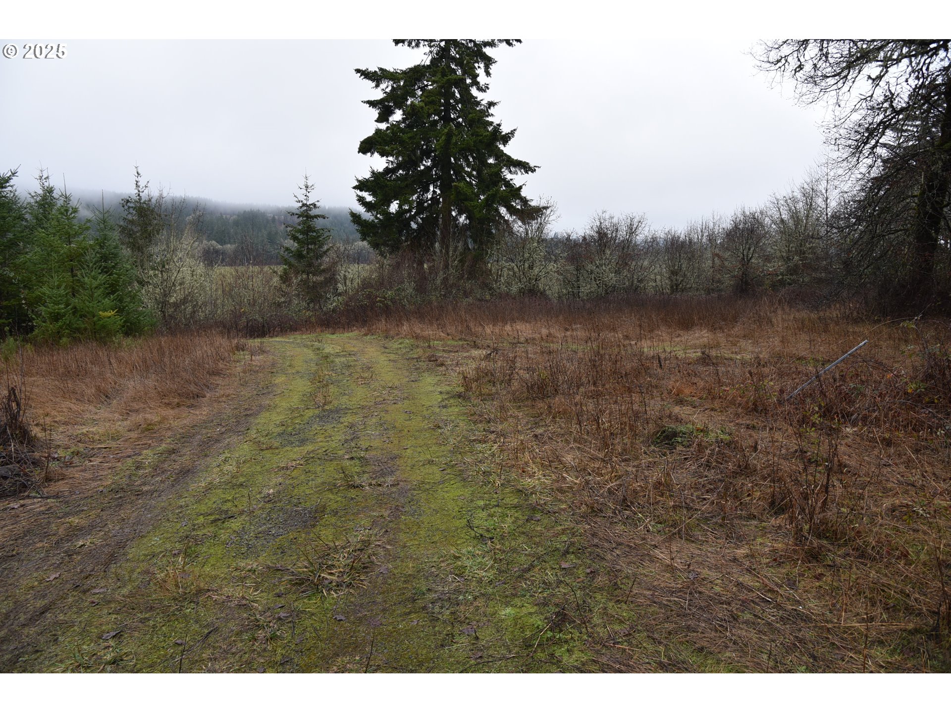 9375 STEEL BRIDGE RD, Sheridan, OR, 97378