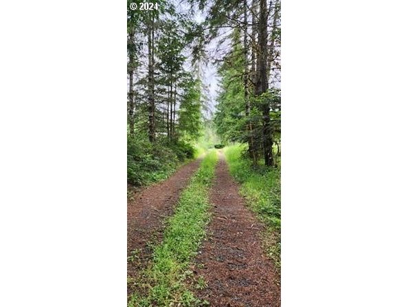 Search Homes for Sale