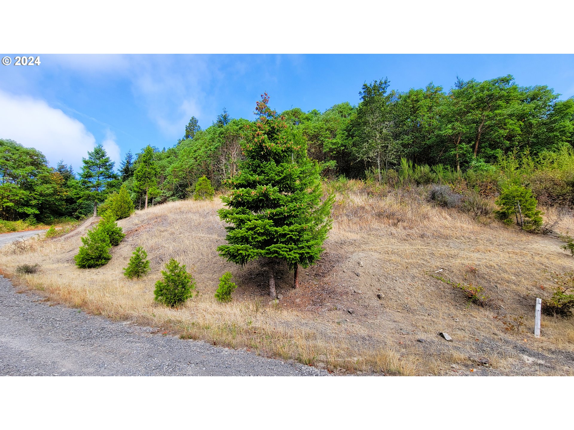 Photo of Laurel Butte DR Oakridge OR 97463