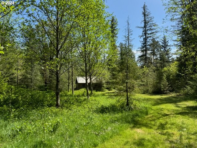 15209 NE Lucia Falls Rd, Battle Ground, WA 98604