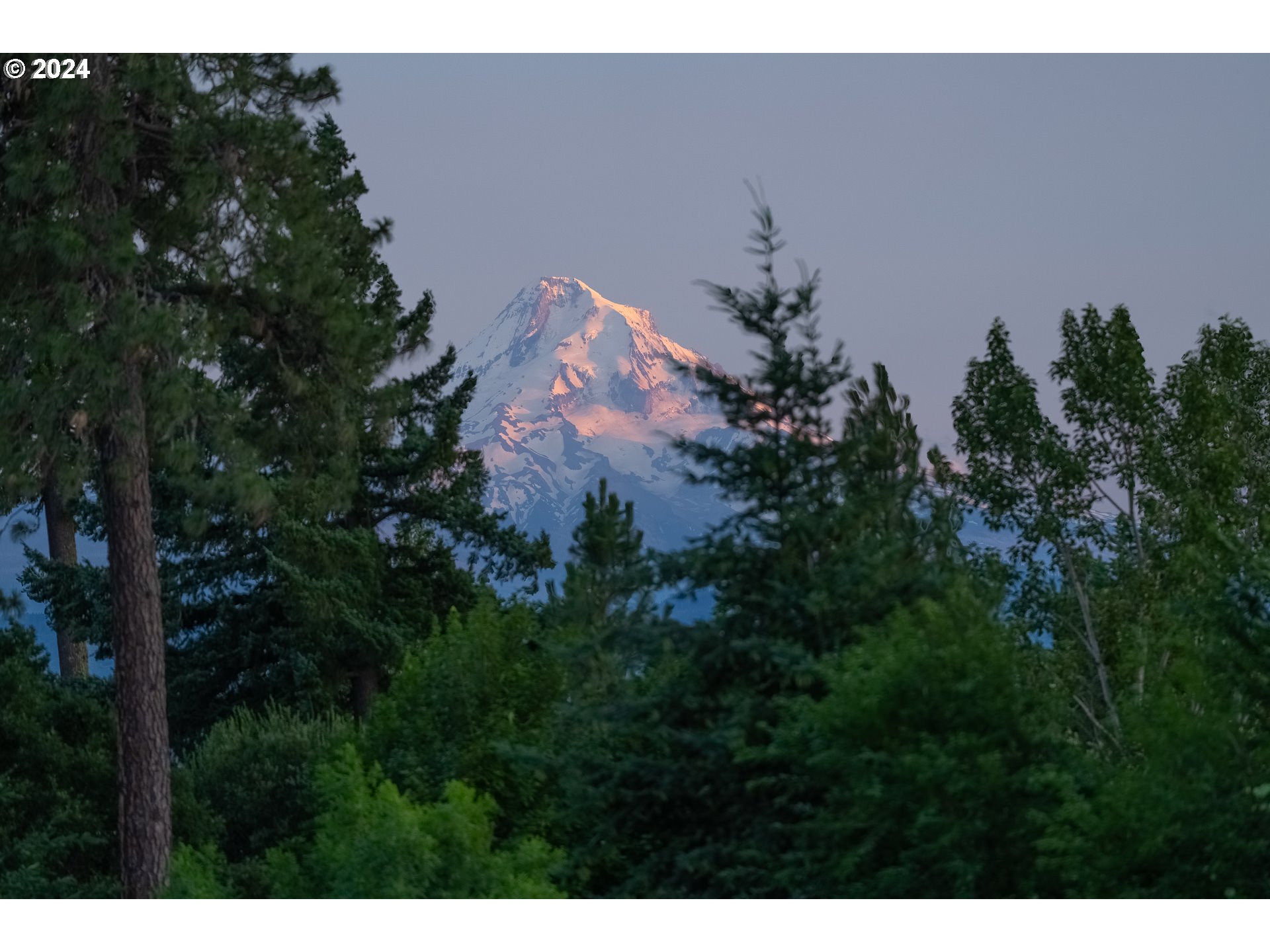 Photo of Painted Sky LN White Salmon WA 98672