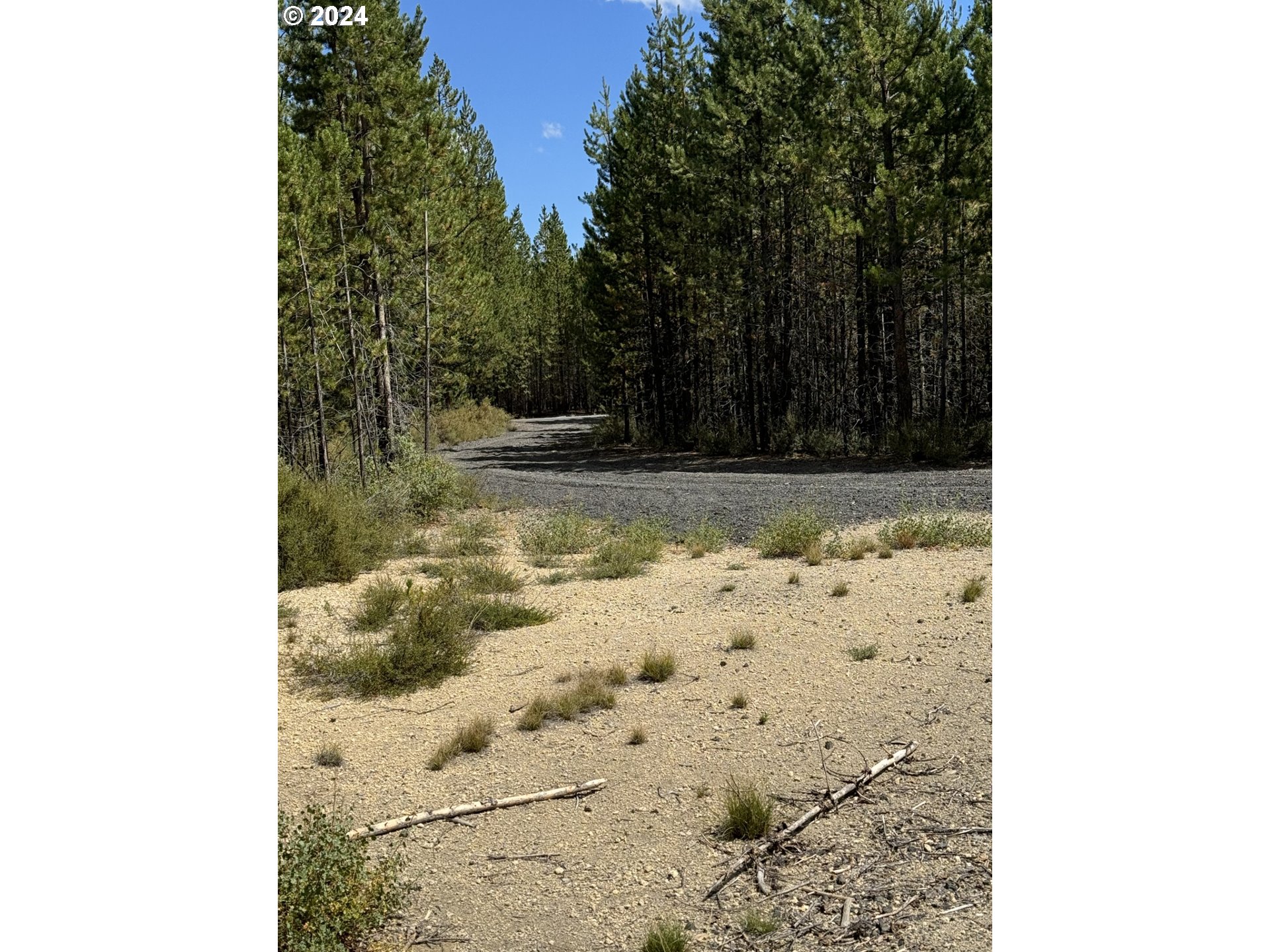 Photo of Bunny Butte Crescent Lake OR 97733