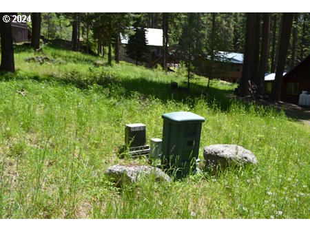 Photo of Forest Dell Wallowa Lake OR 97846