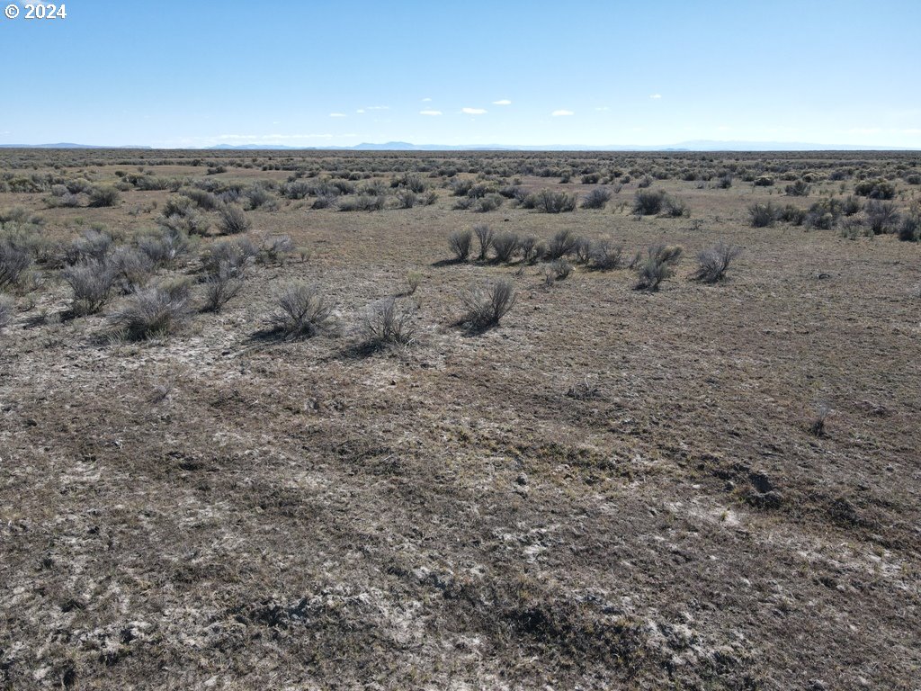 Search Homes for Sale