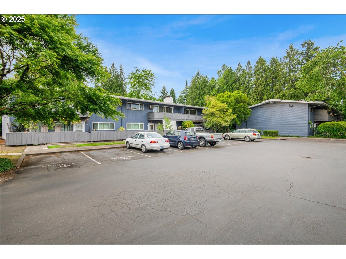 Photo #11: 247341452 Listing: Photo #11