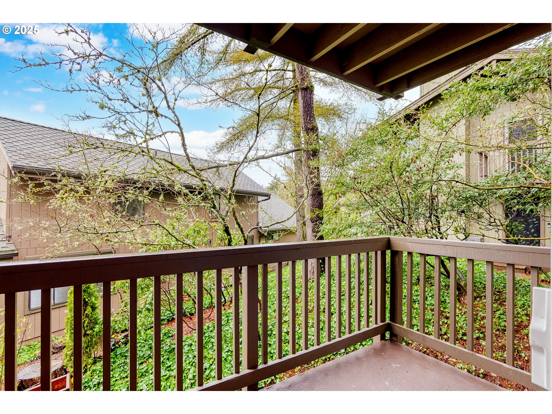 Photo #6: 249220503 Listing 