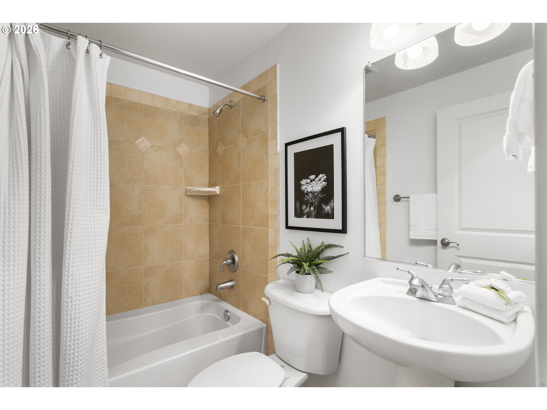 Photo #6: 249985568 Listing: Photo #6