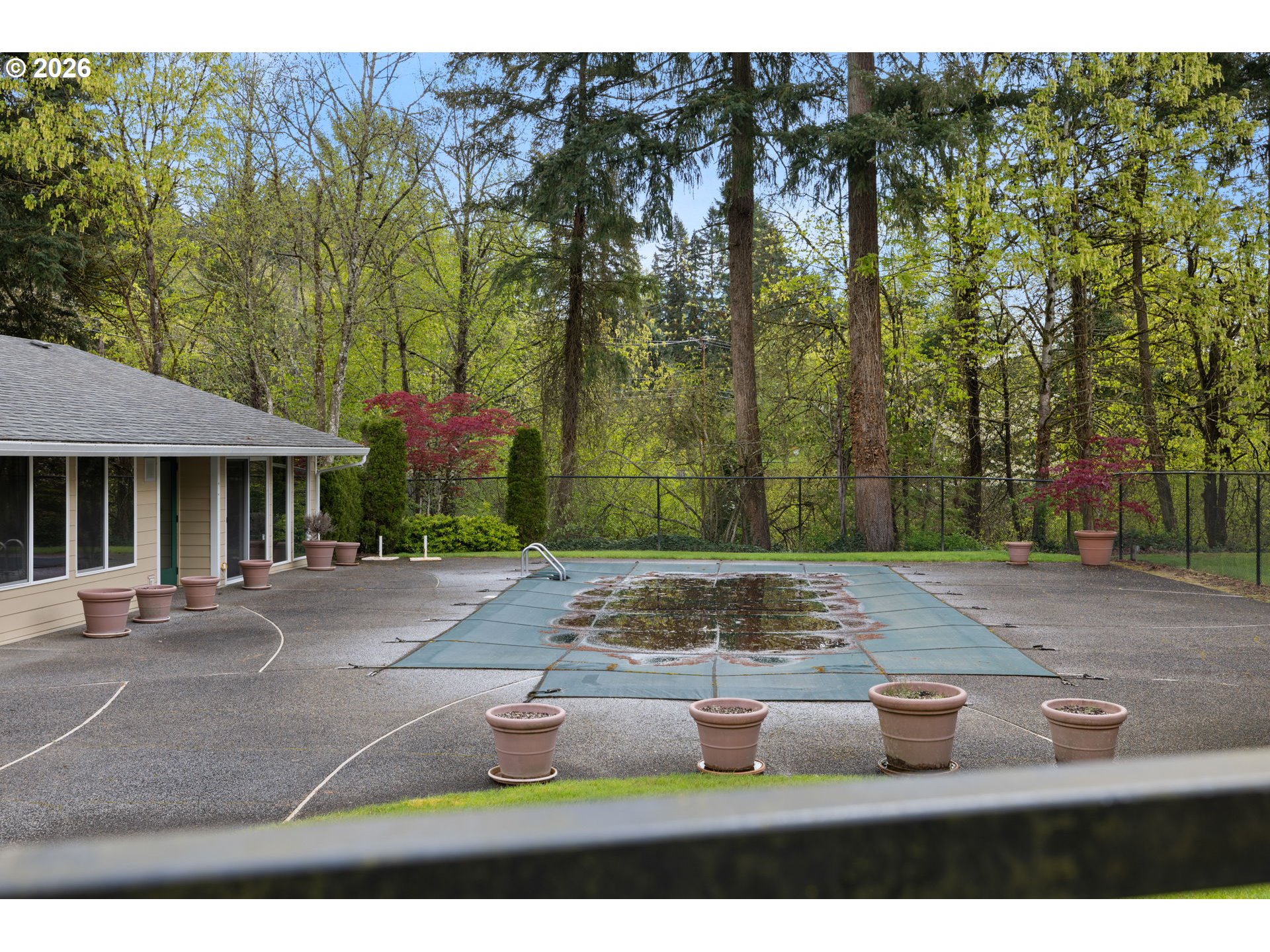 Photo #24: 250120438 Listing: Photo #24