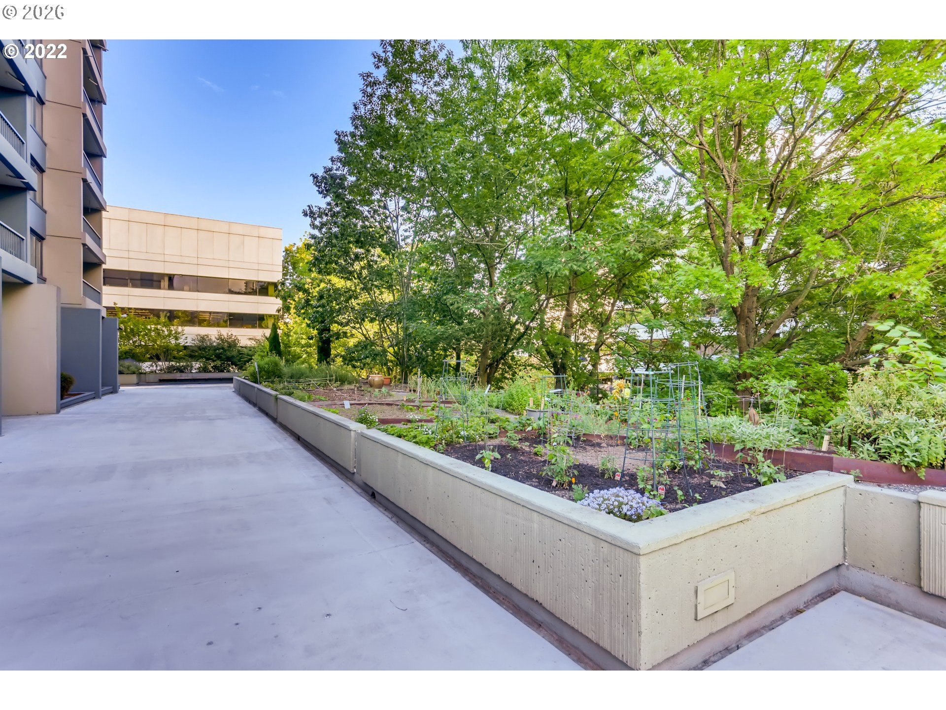 Photo #15: 251007748 Listing: Photo #15