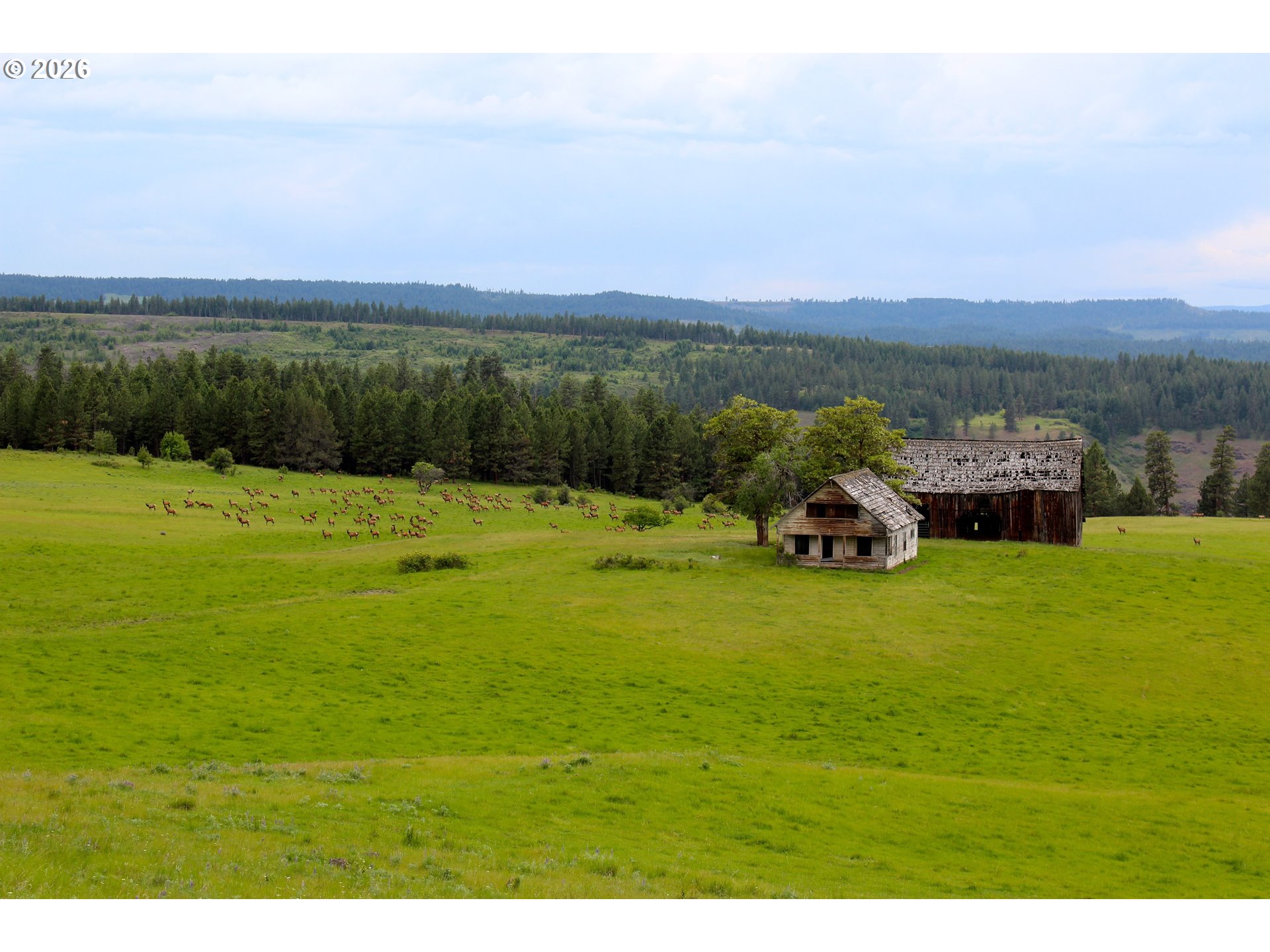 83584 TROY RD, Wallowa, OR, 97885