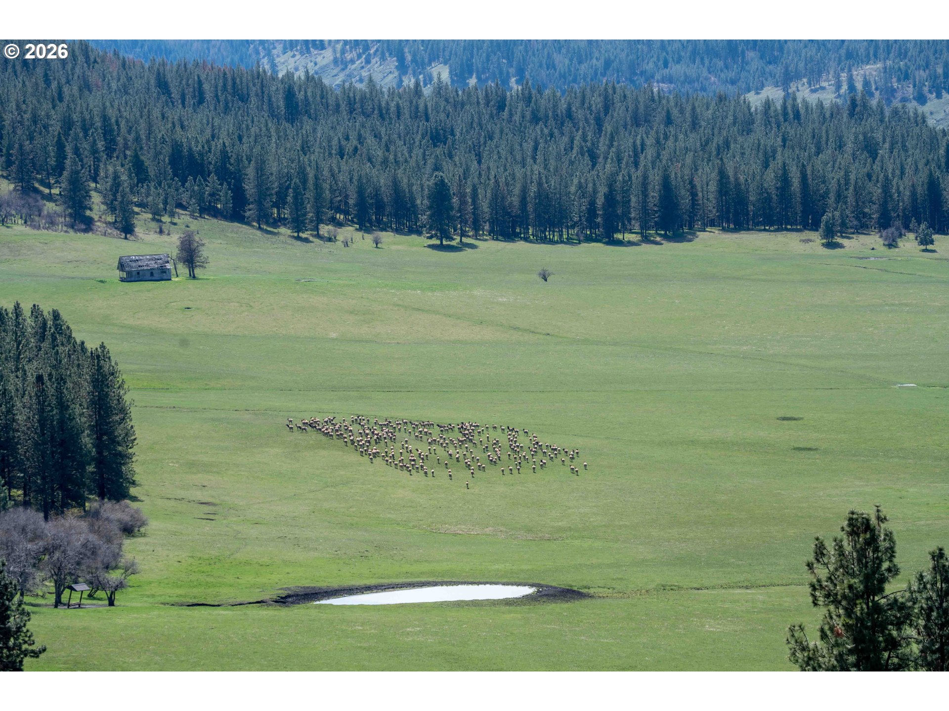 83584 TROY RD, Wallowa, OR, 97885