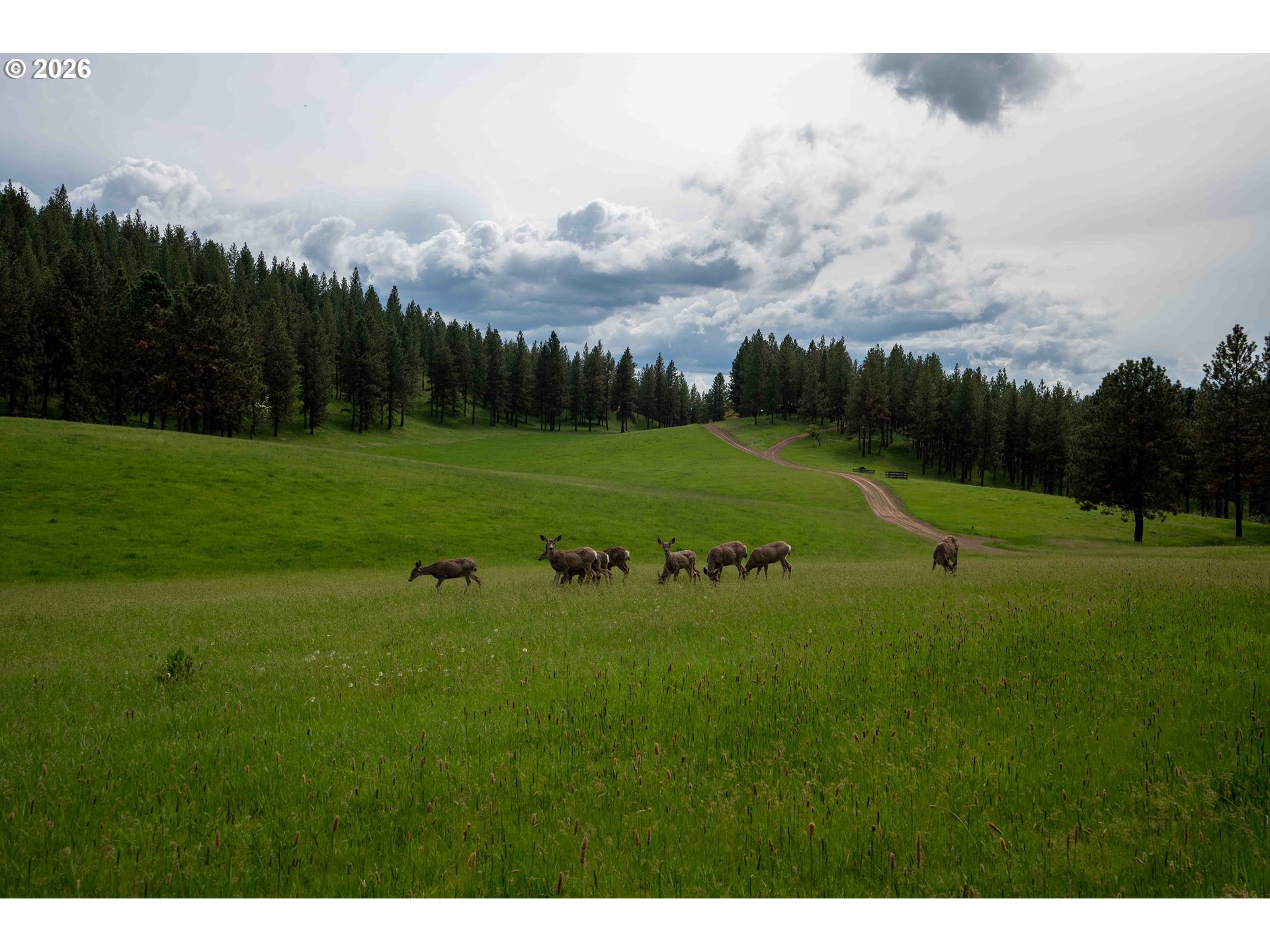 83584 TROY RD, Wallowa, OR, 97885