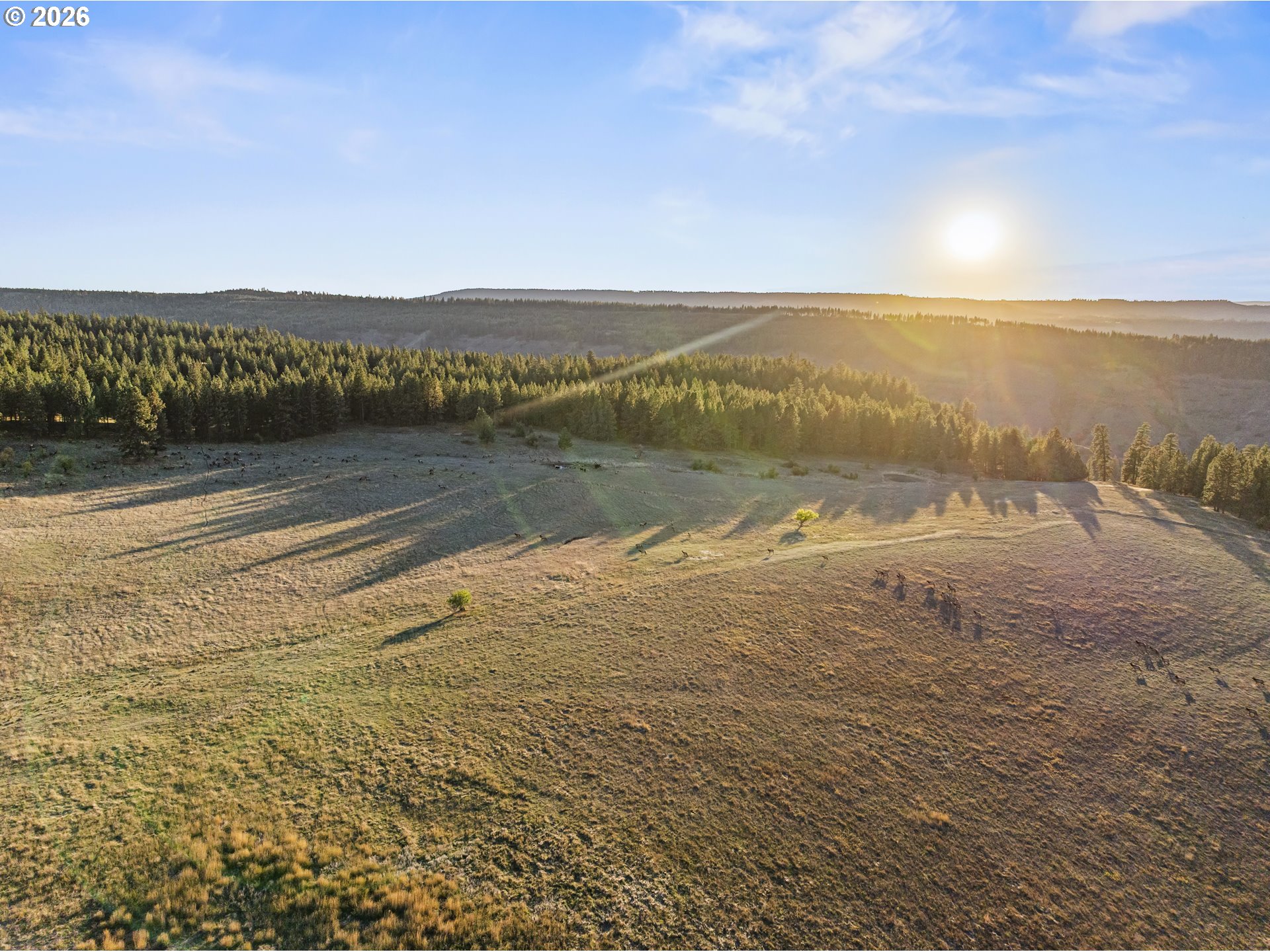 83584 TROY RD, Wallowa, OR, 97885