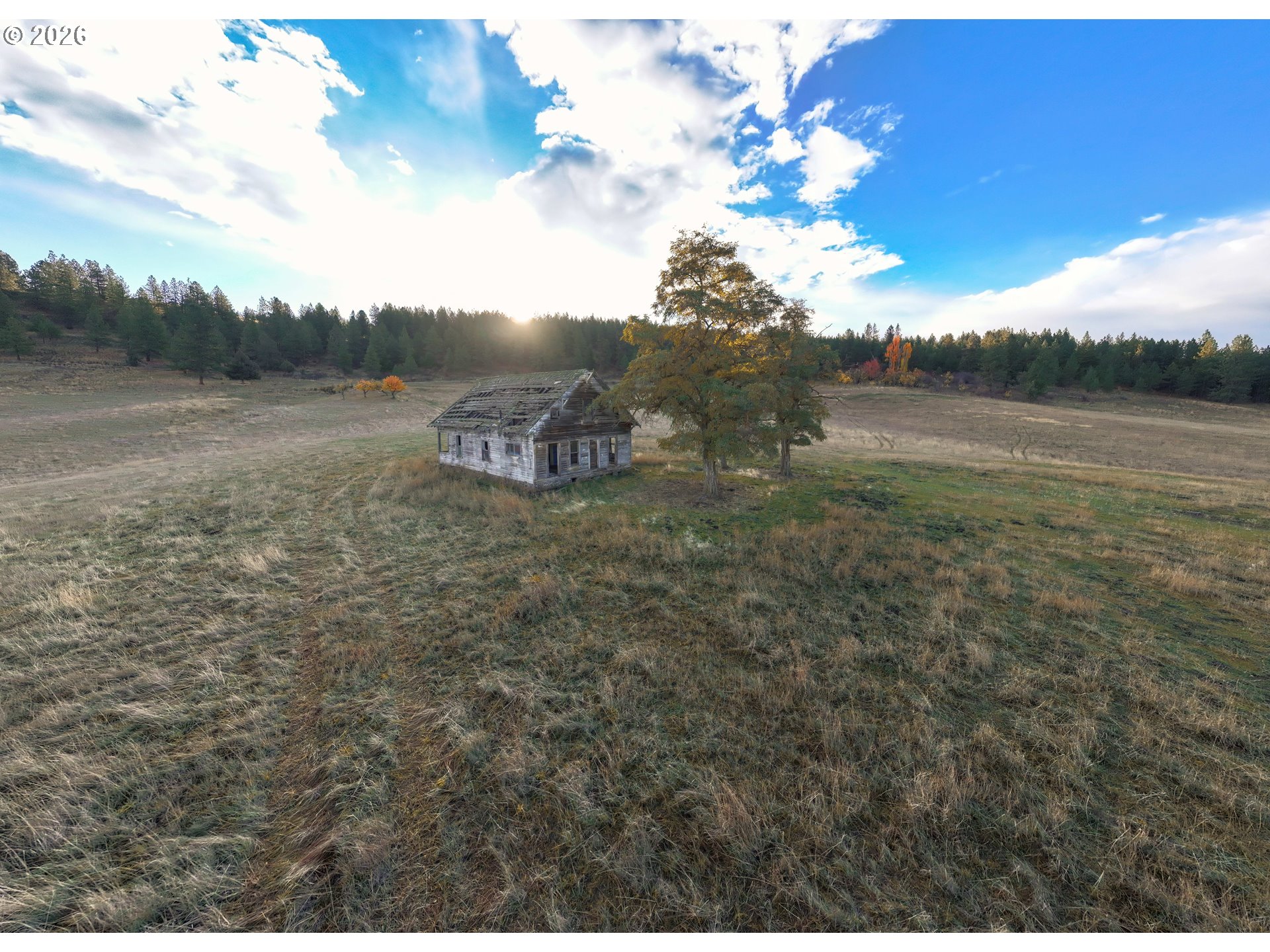 83584 TROY RD, Wallowa, OR, 97885