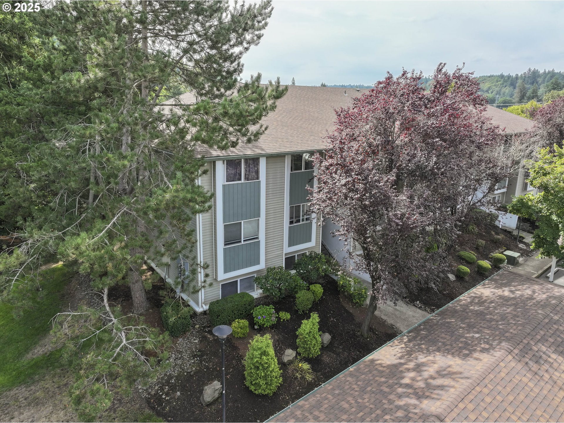 Photo #3: 252159793 Listing 