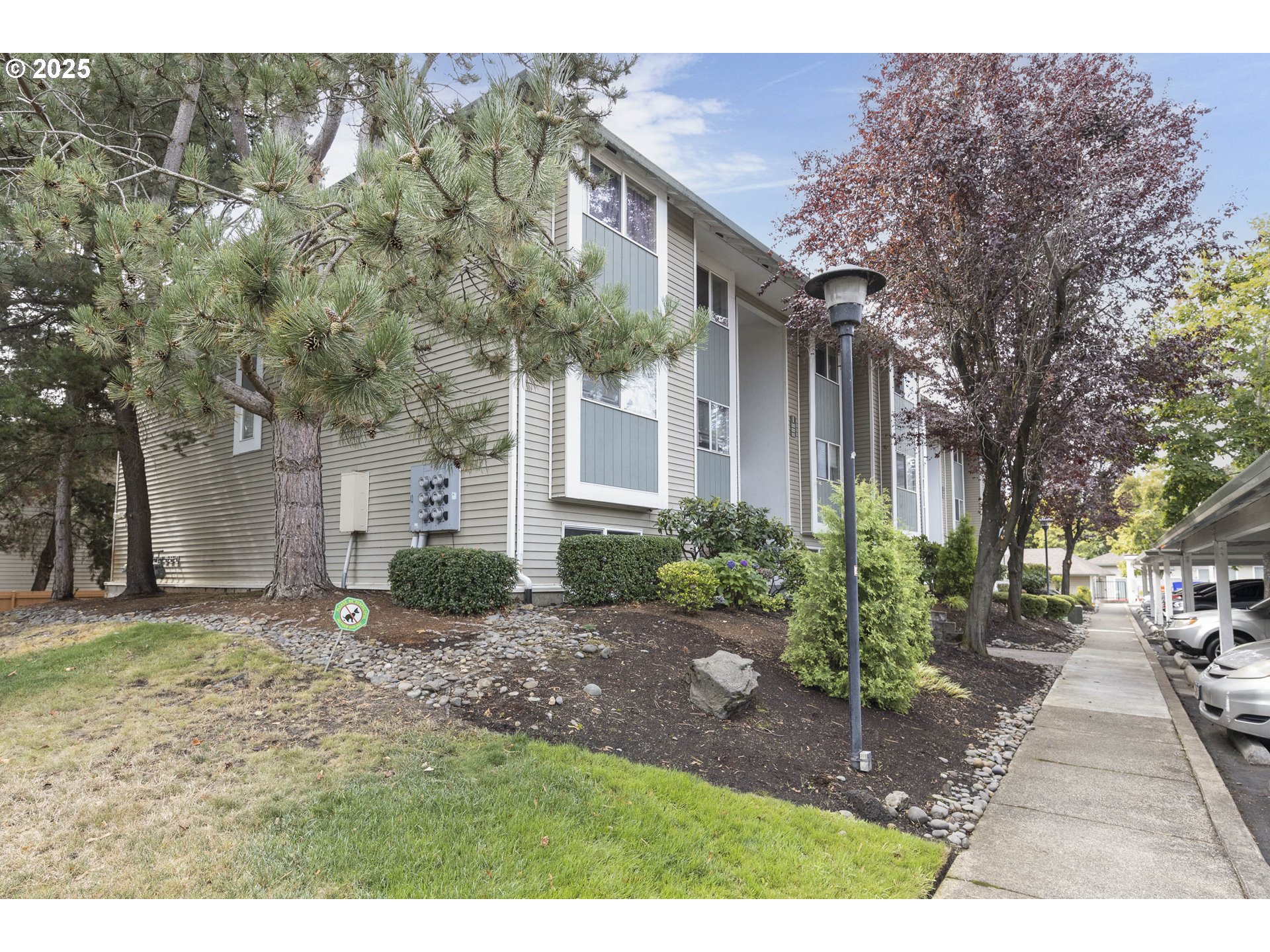Photo #5: 252159793 Listing 