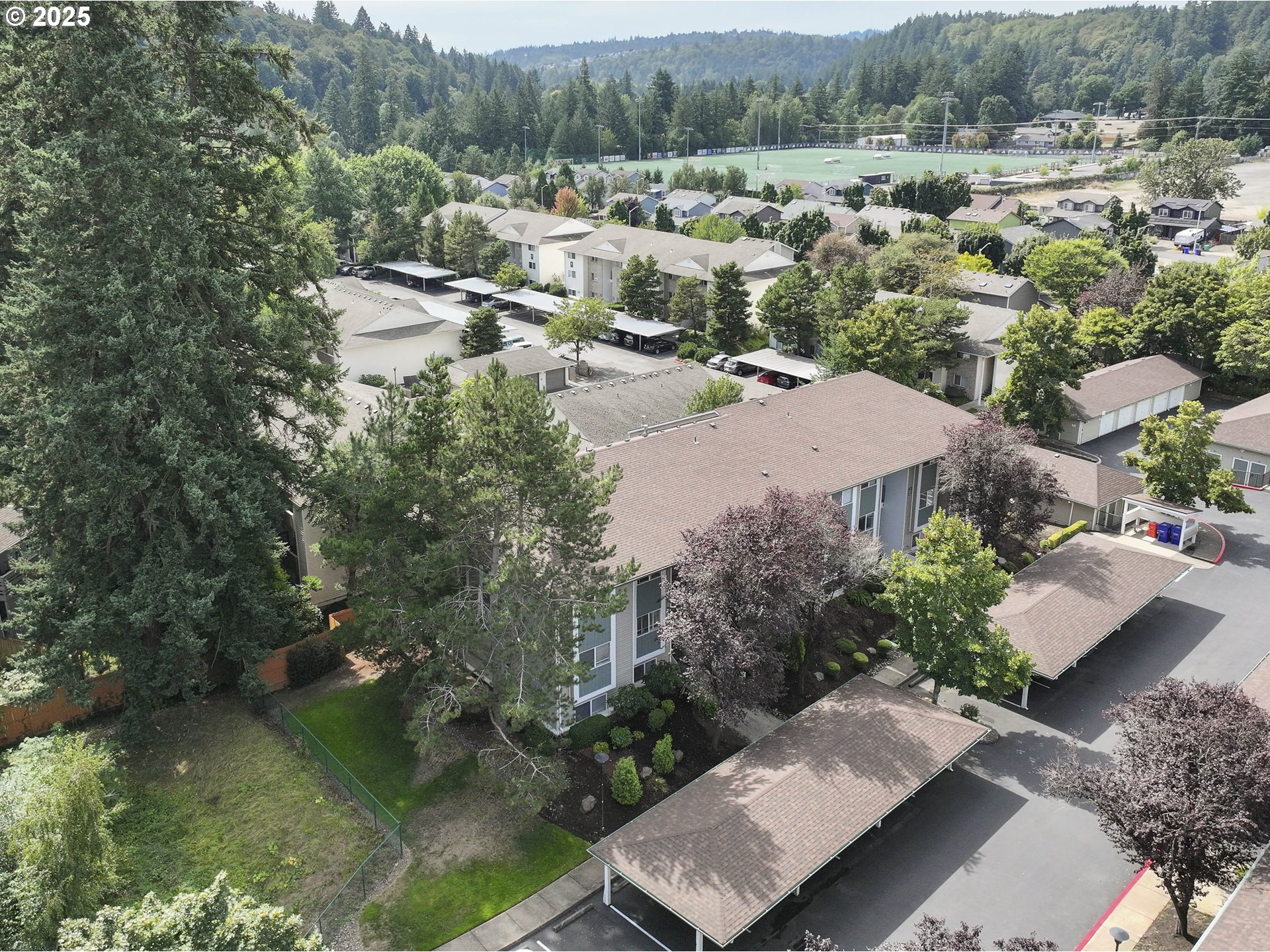 Photo #4: 252159793 Listing 