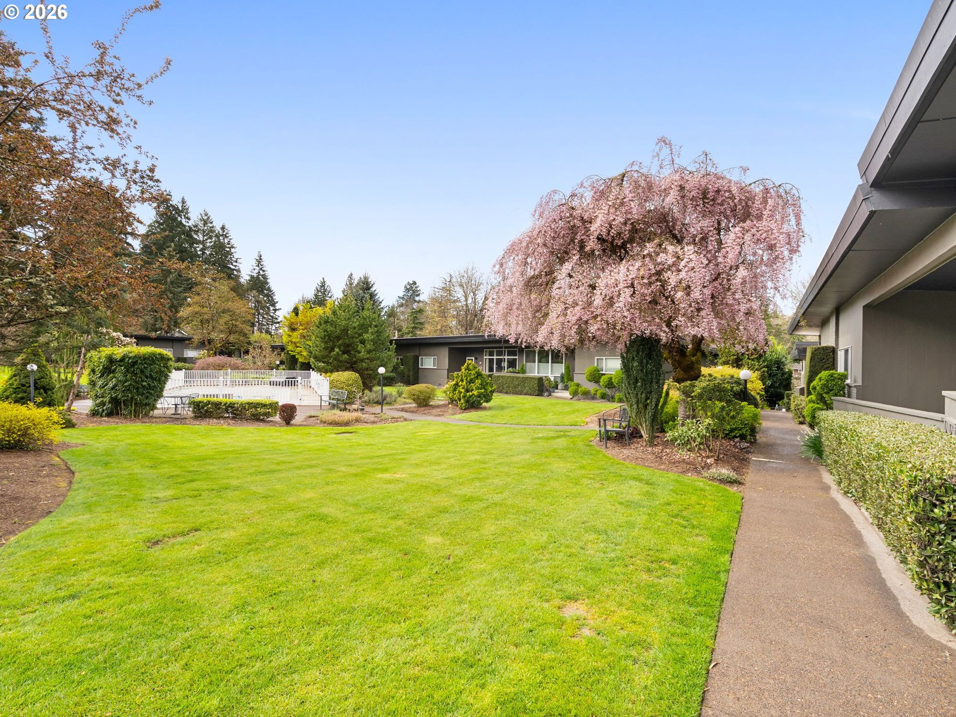 Photo #2: 253665374 Listing: Photo #2