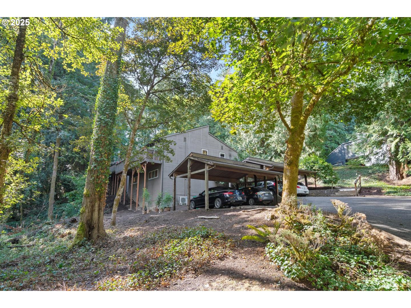 Photo #5: 256600807 Listing 