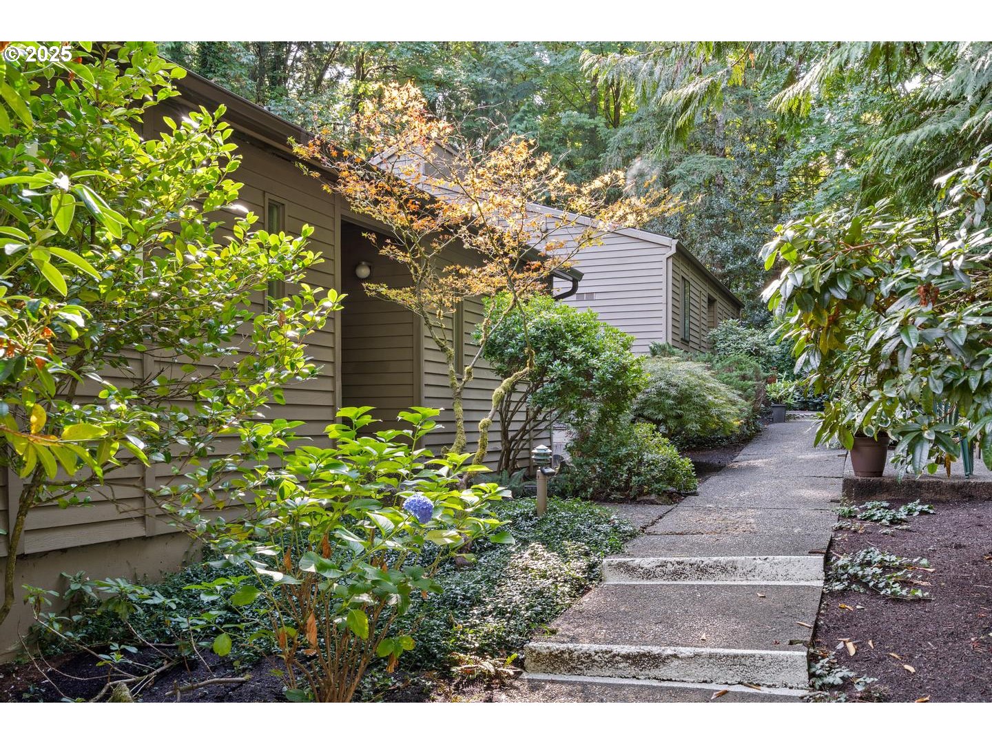 Photo #8: 256600807 Listing: Photo #8
