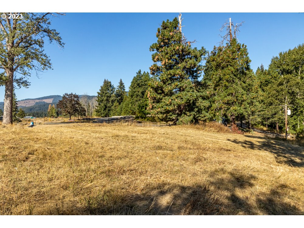 Photo of Lot 30 Husum Greens White Salmon WA 98672