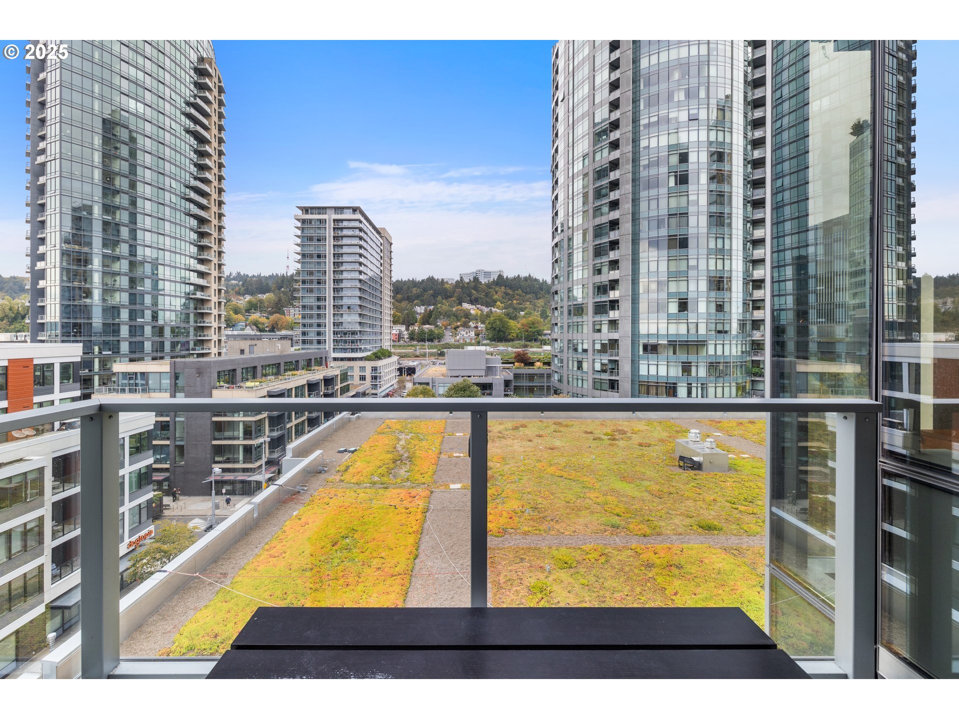 Photo #37: 257081559 Listing: Photo #37