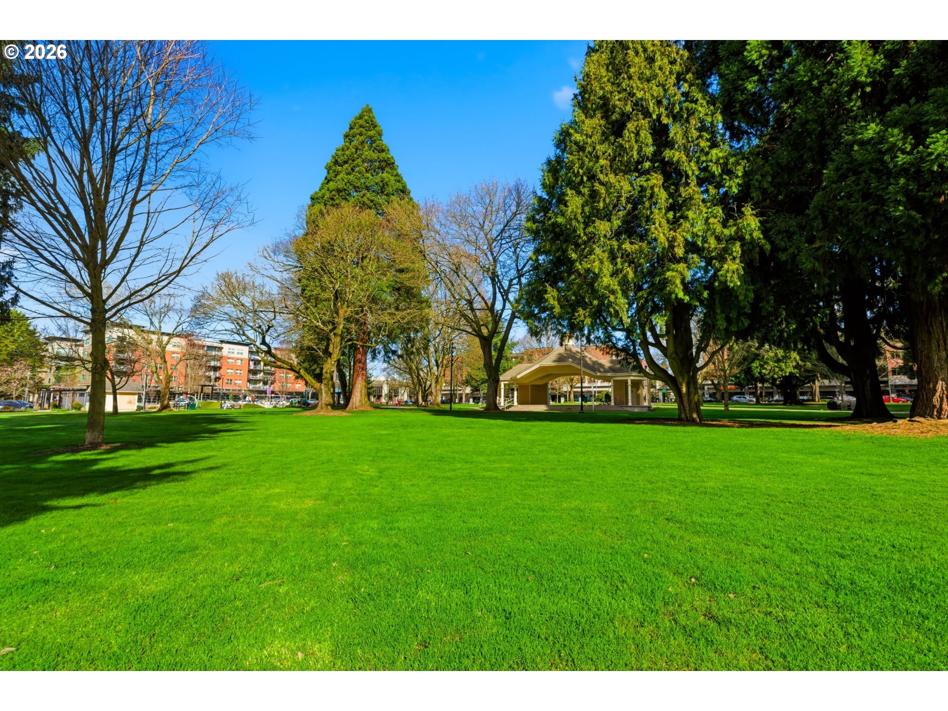 Photo #32: 257429344 Listing: Photo #32