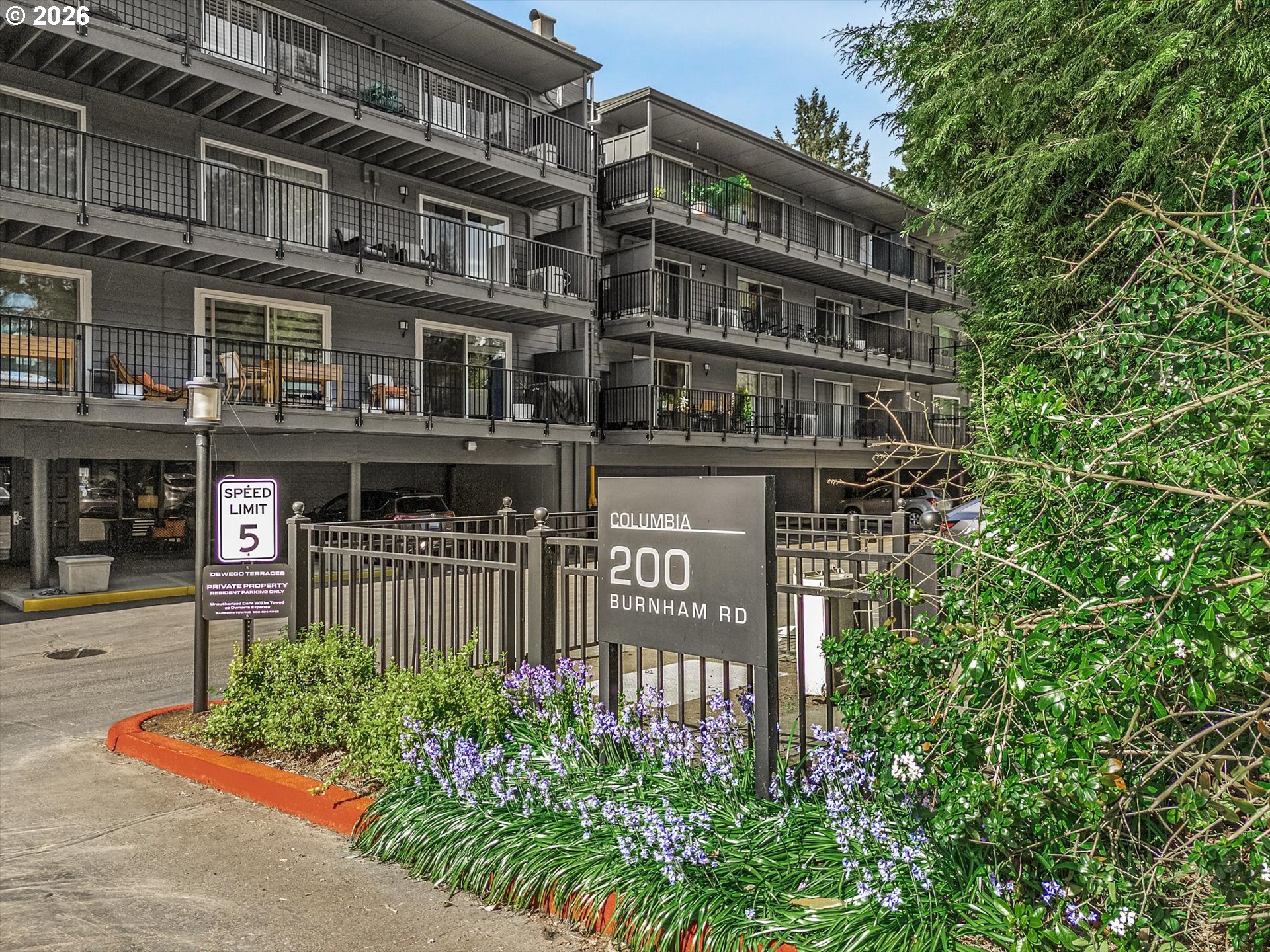 Photo #3: 258142701 Listing: Photo #3