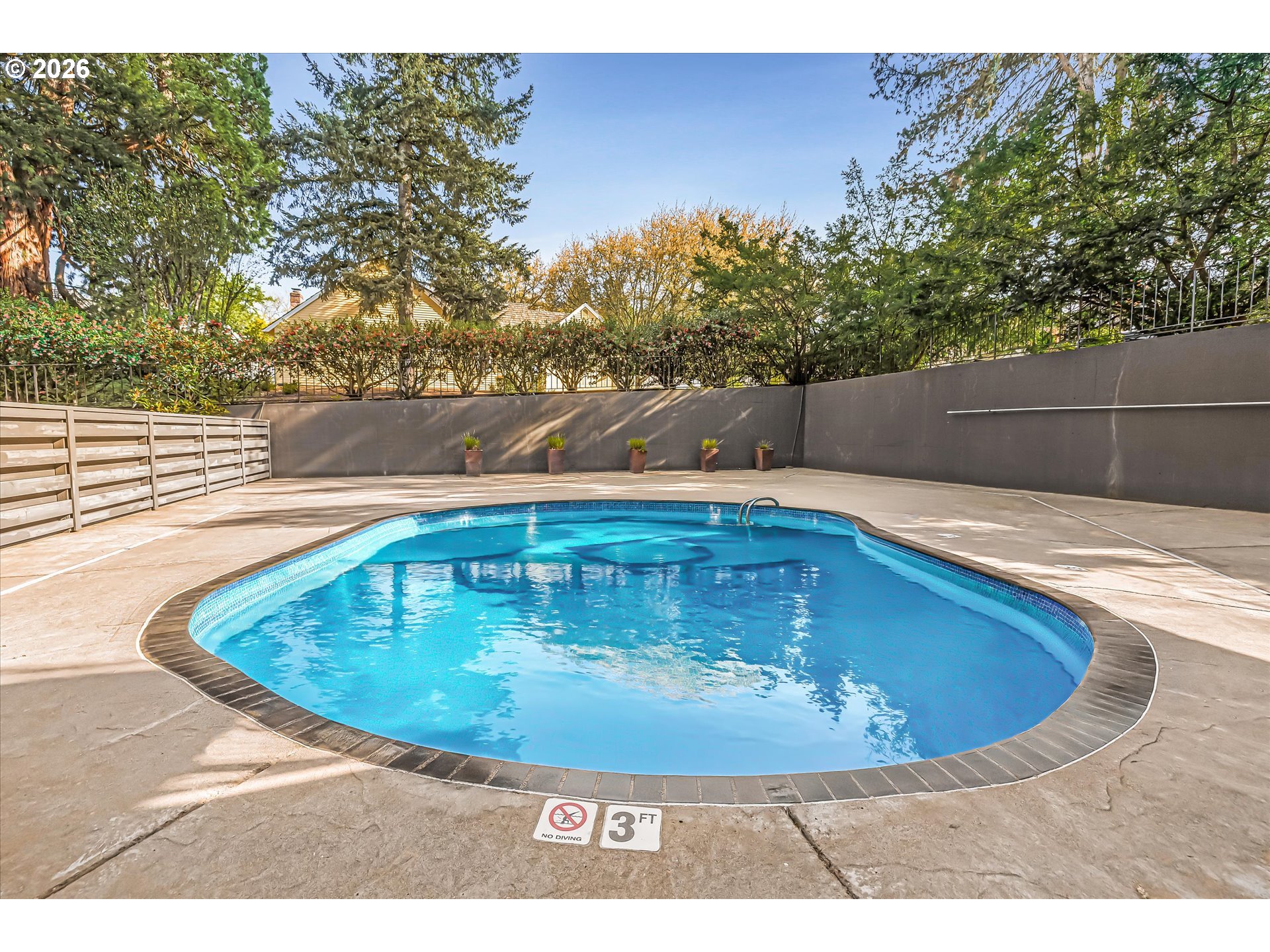 Photo #37: 258142701 Listing: Photo #37