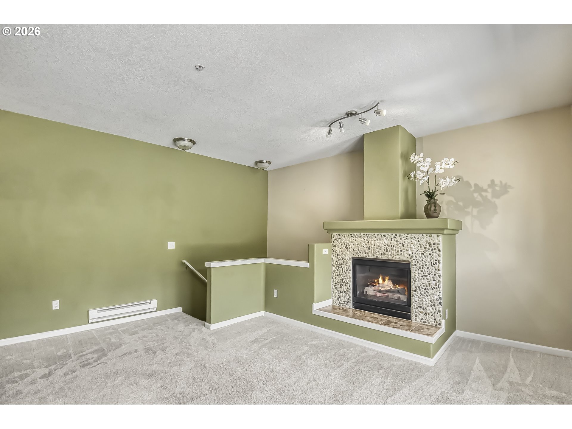 Photo #26: 258300327 Listing: Photo #26