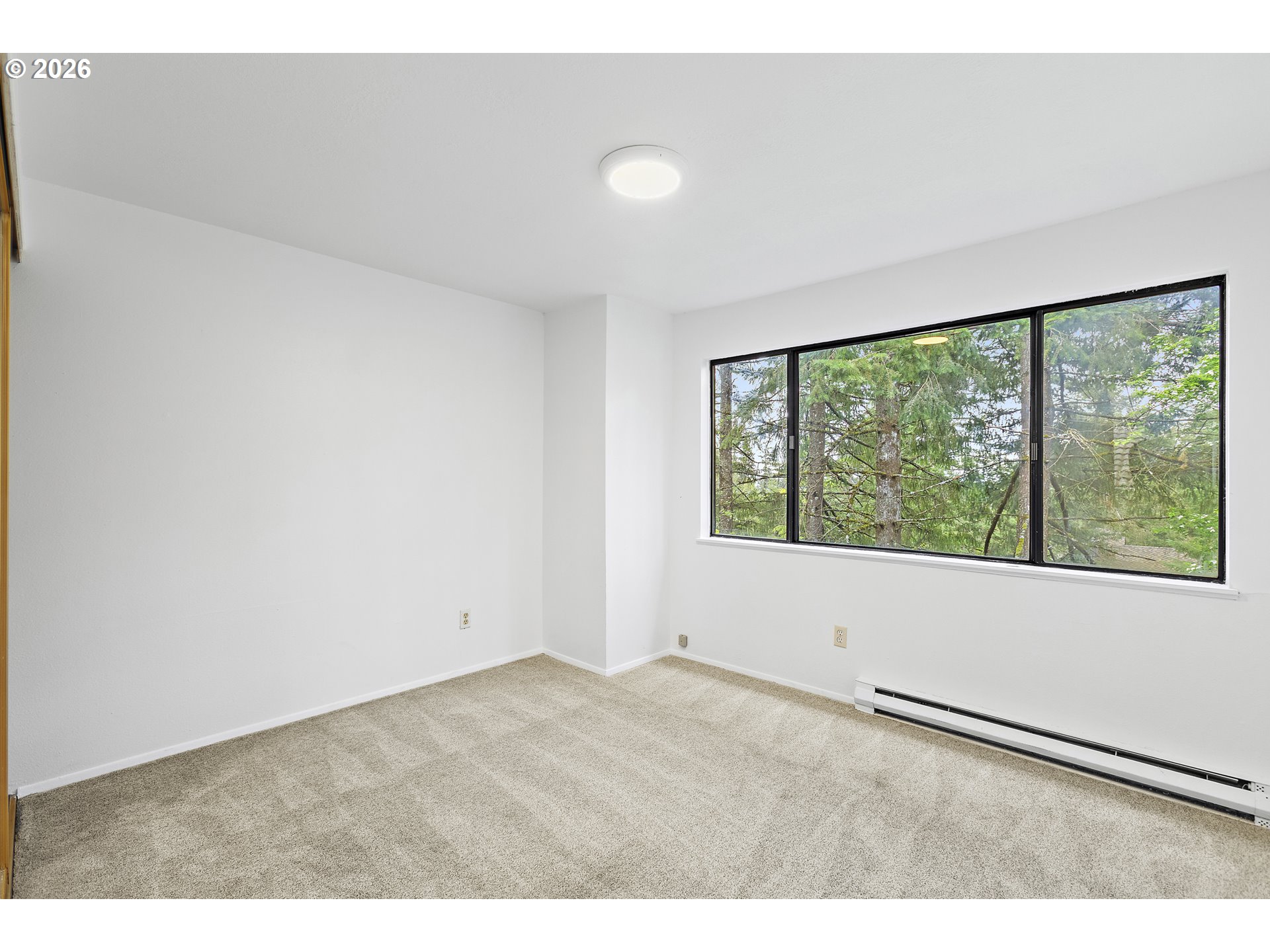 Photo #17: 259454271 Listing: Photo #17