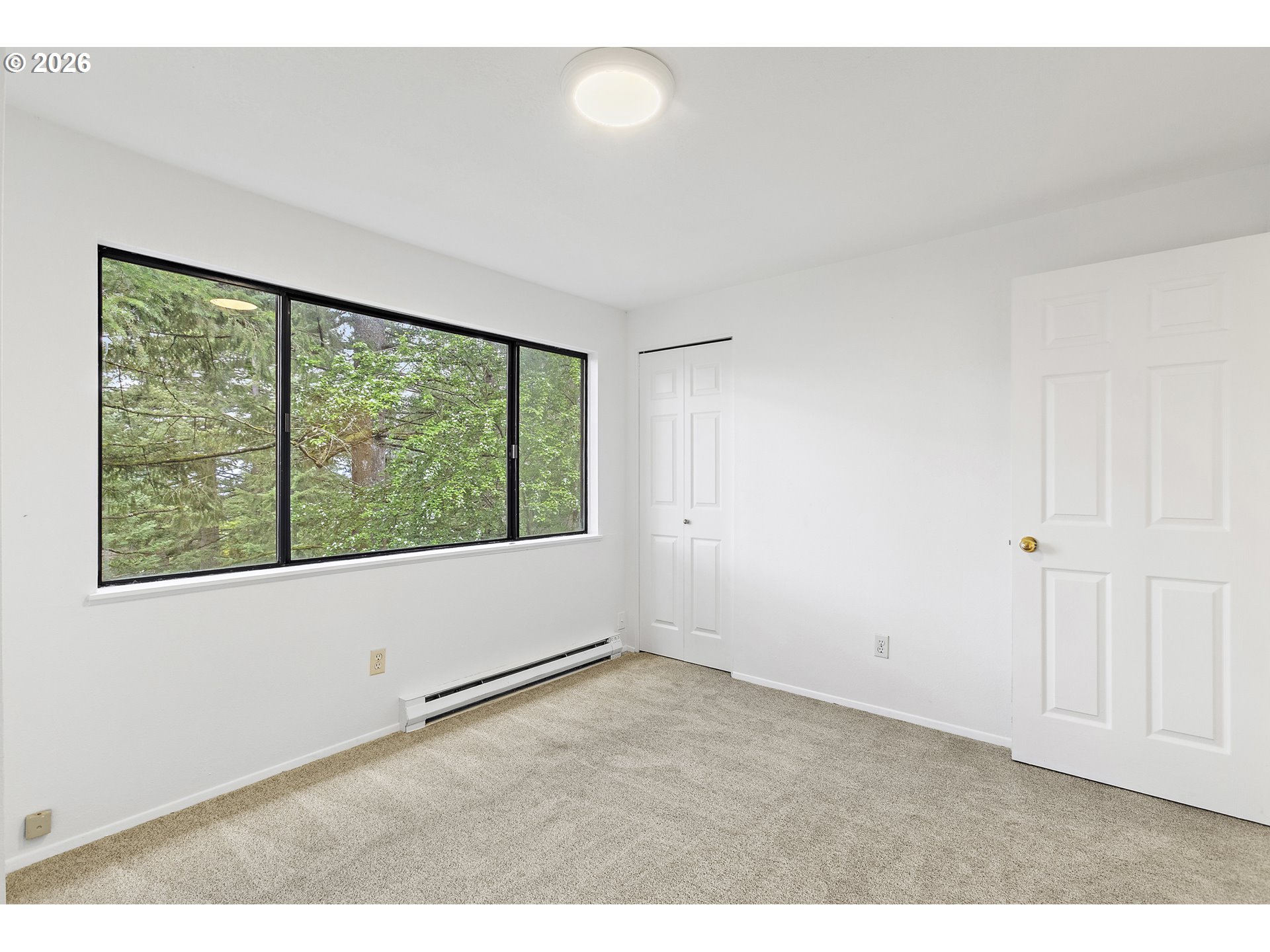 Photo #19: 259454271 Listing: Photo #19
