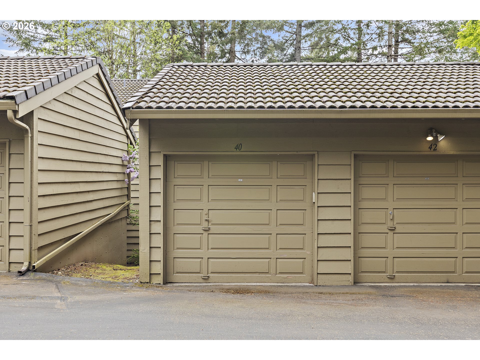 Photo #21: 259454271 Listing: Photo #21