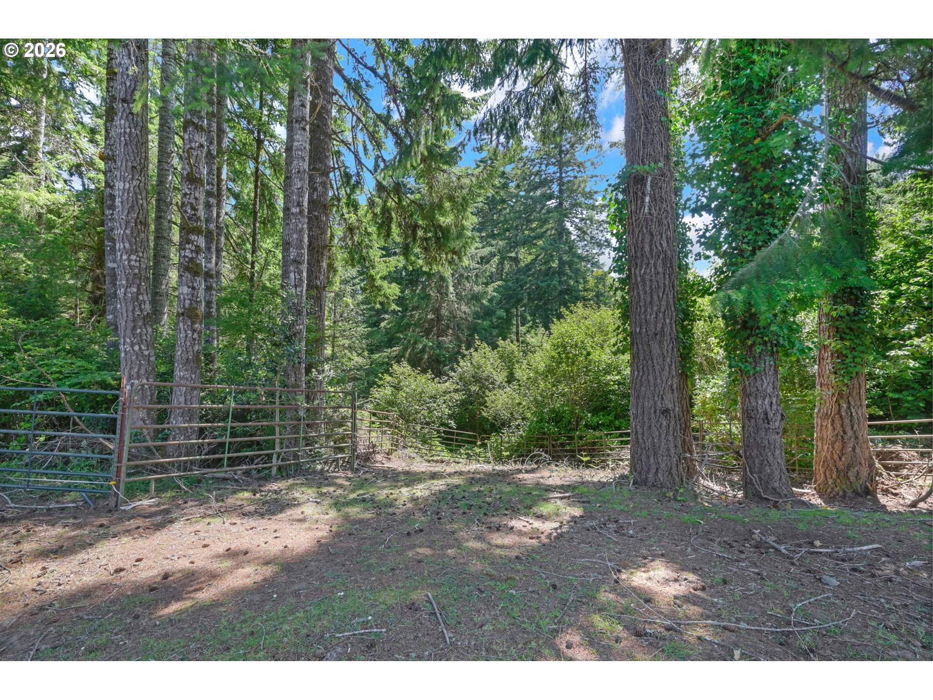 5596 CANARY RD, Florence, OR, 97439