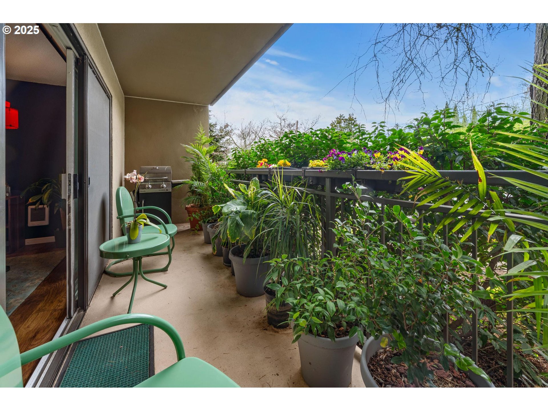 Photo #20: 264447576 Listing: Photo #20