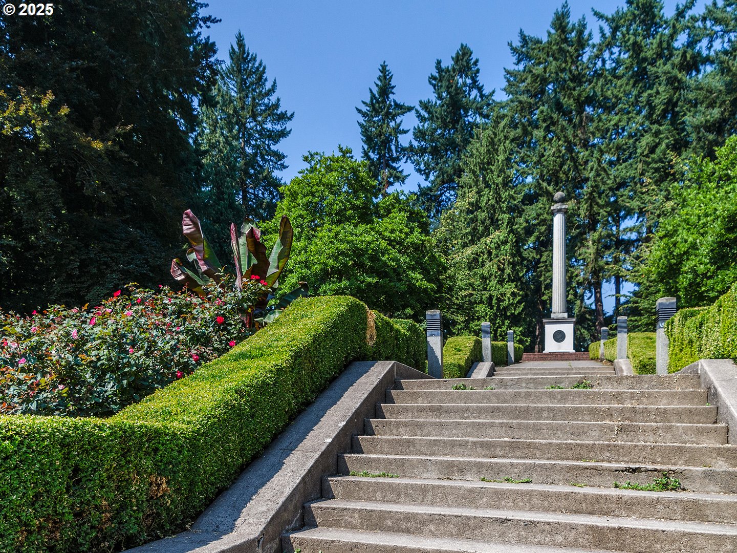 Photo #42: 264447576 Listing: Photo #42