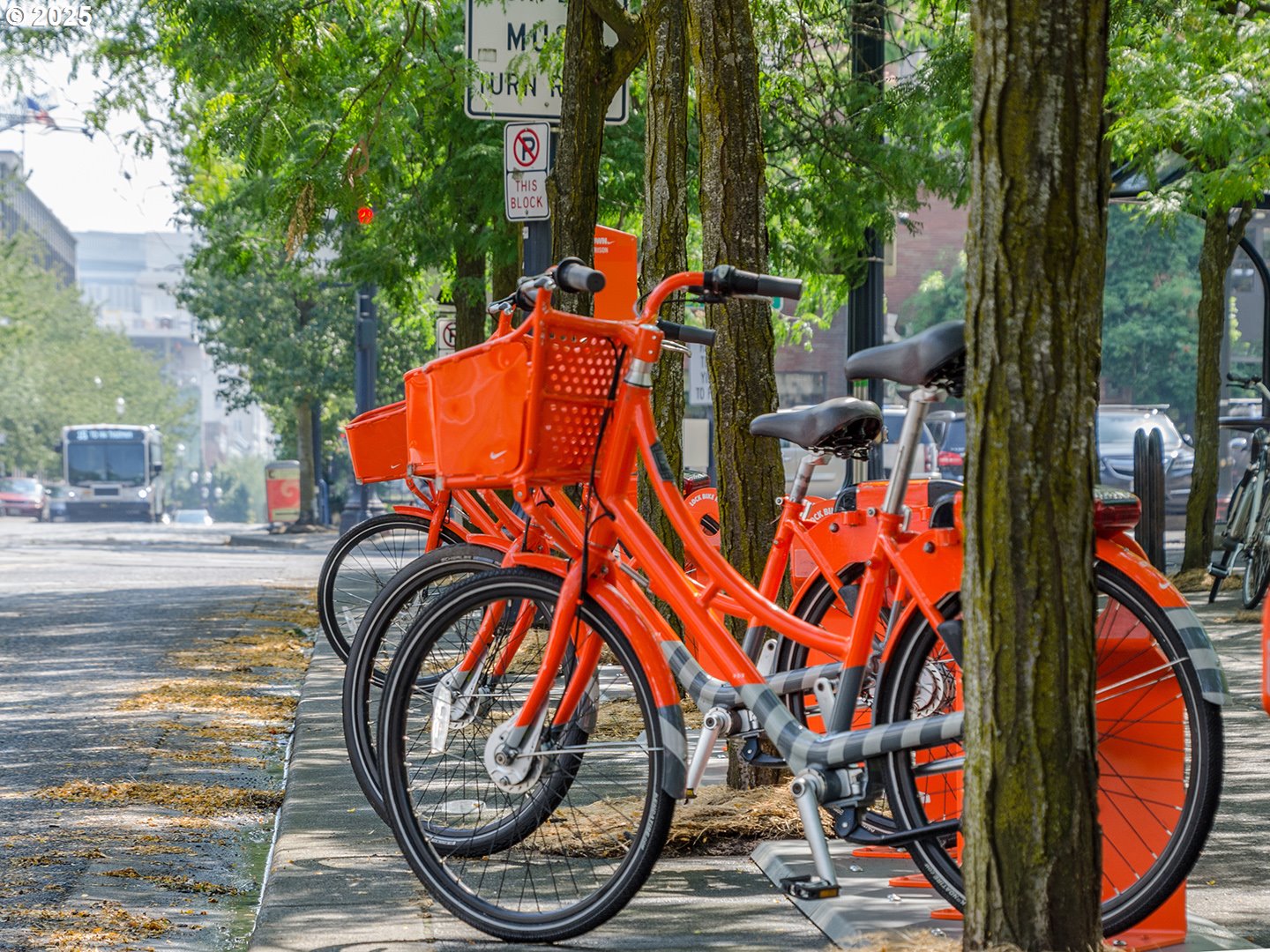 Photo #43: 264447576 Listing: Photo #43