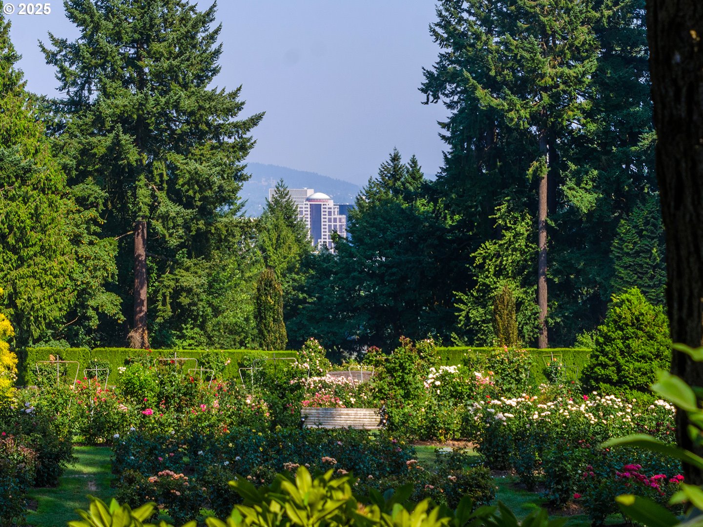 Photo #46: 264447576 Listing: Photo #46