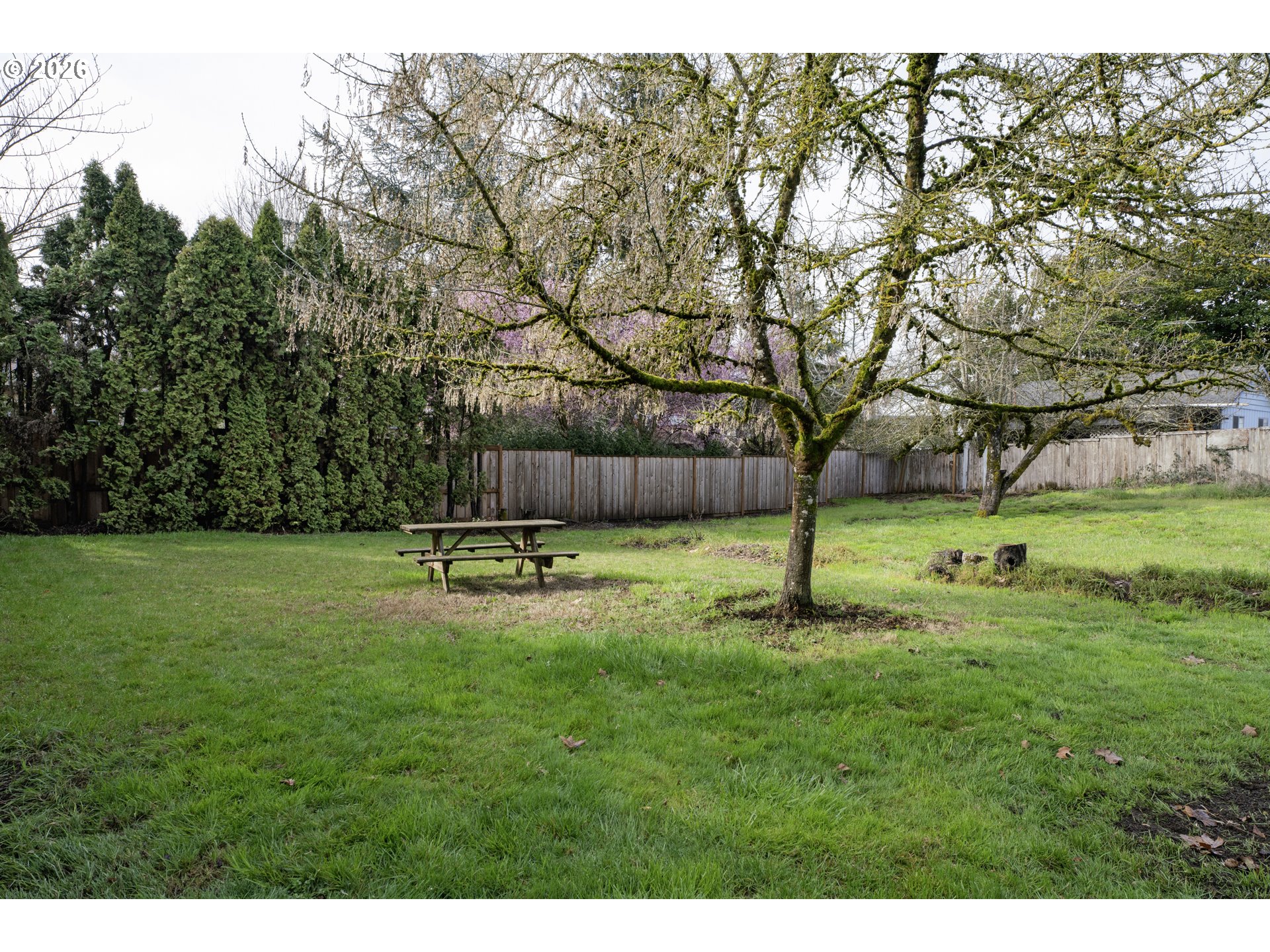 780 CHERRY AVE, Eugene, OR, 97404