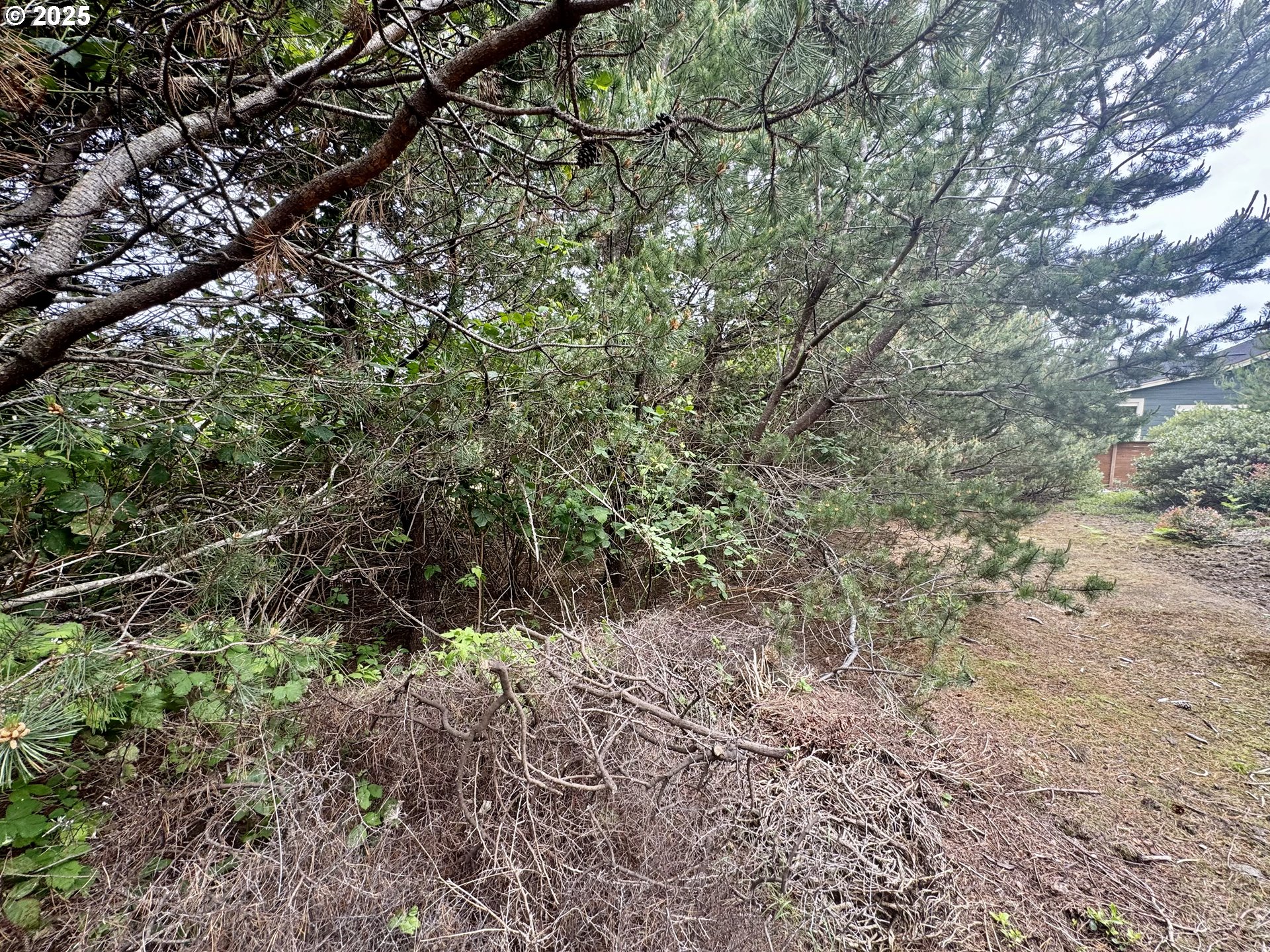 Lake Point DR 23 UNIT 23, Florence, OR, 97439