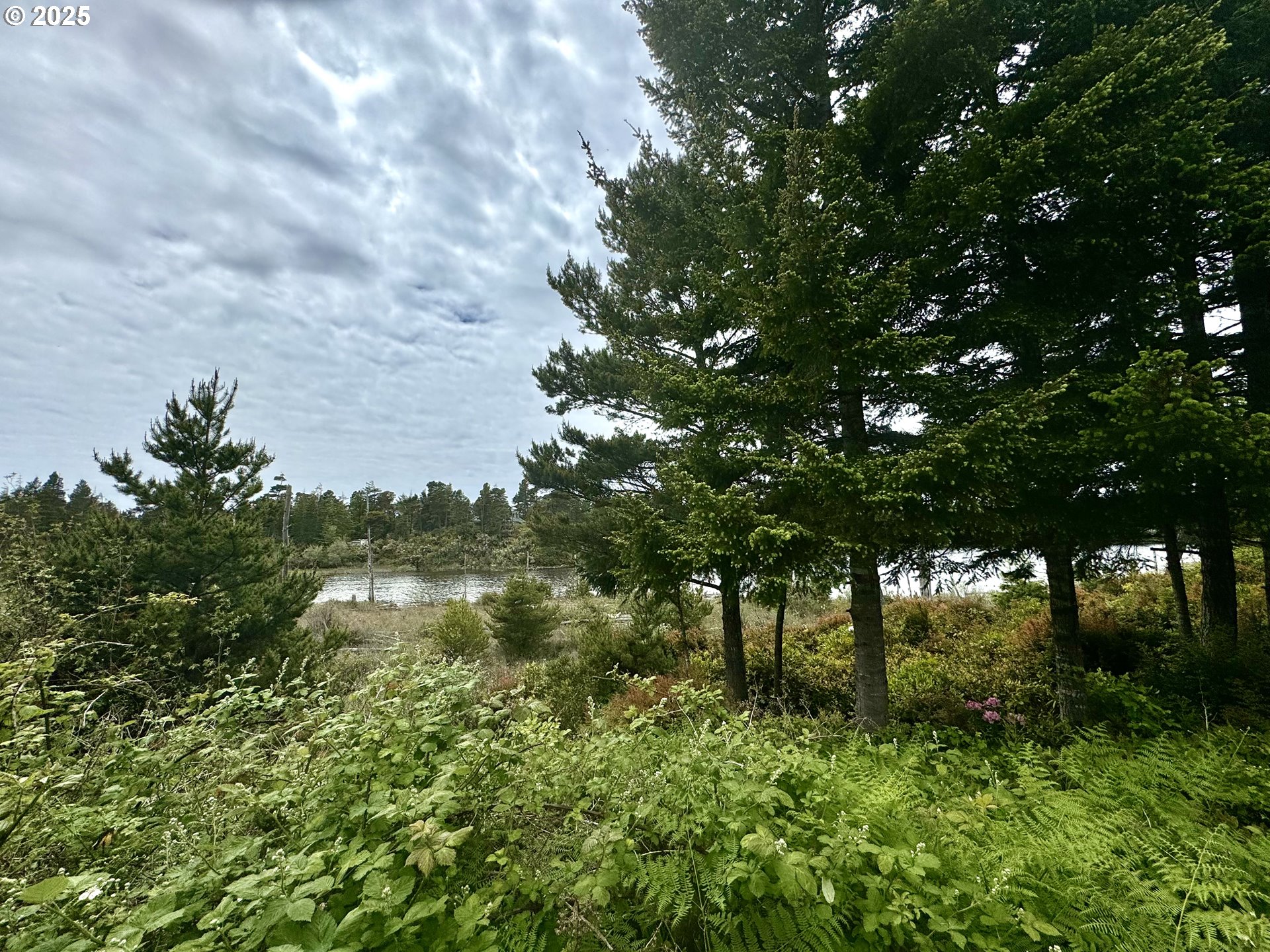 Lake Point DR 23 UNIT 23, Florence, OR, 97439