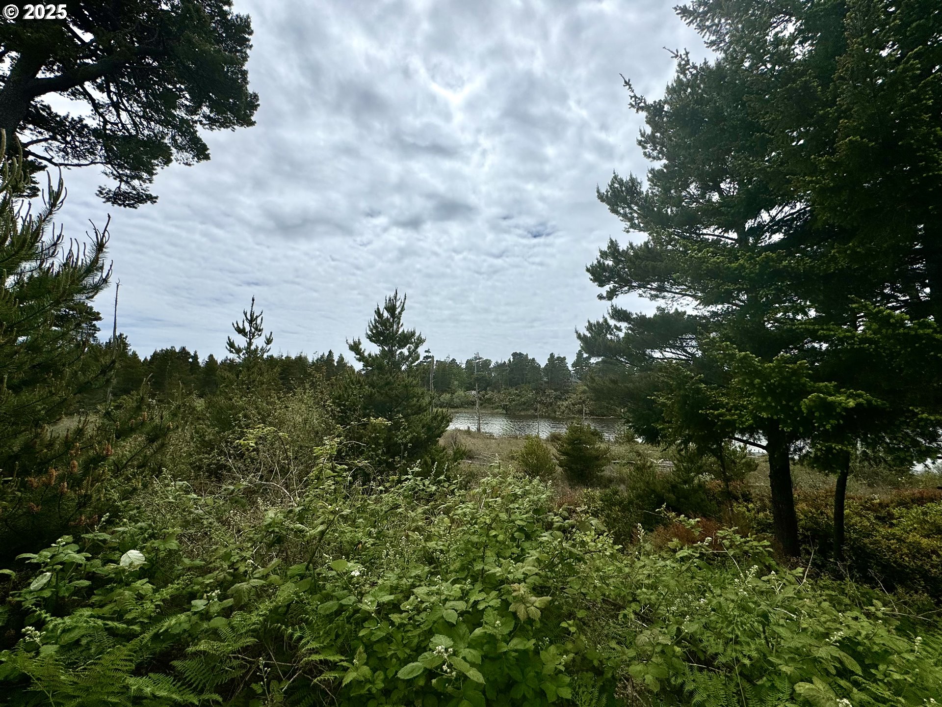 Lake Point DR 23 UNIT 23, Florence, OR, 97439